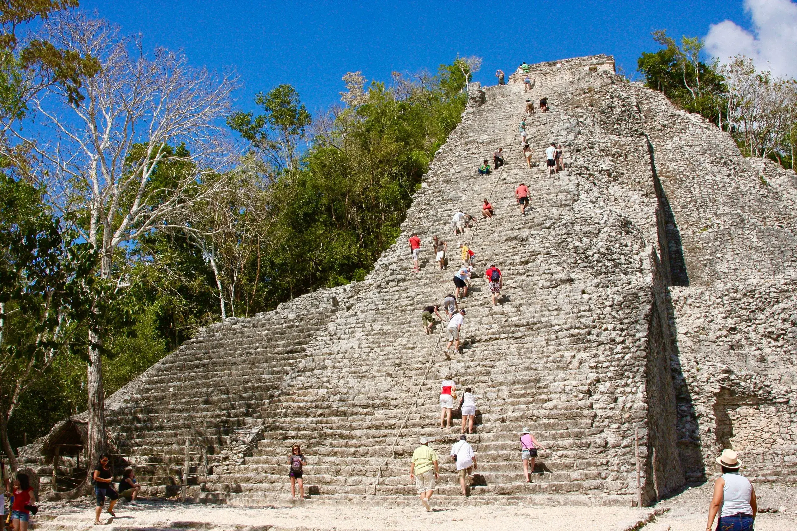 Cobá Ruins & Jungle Cenotes