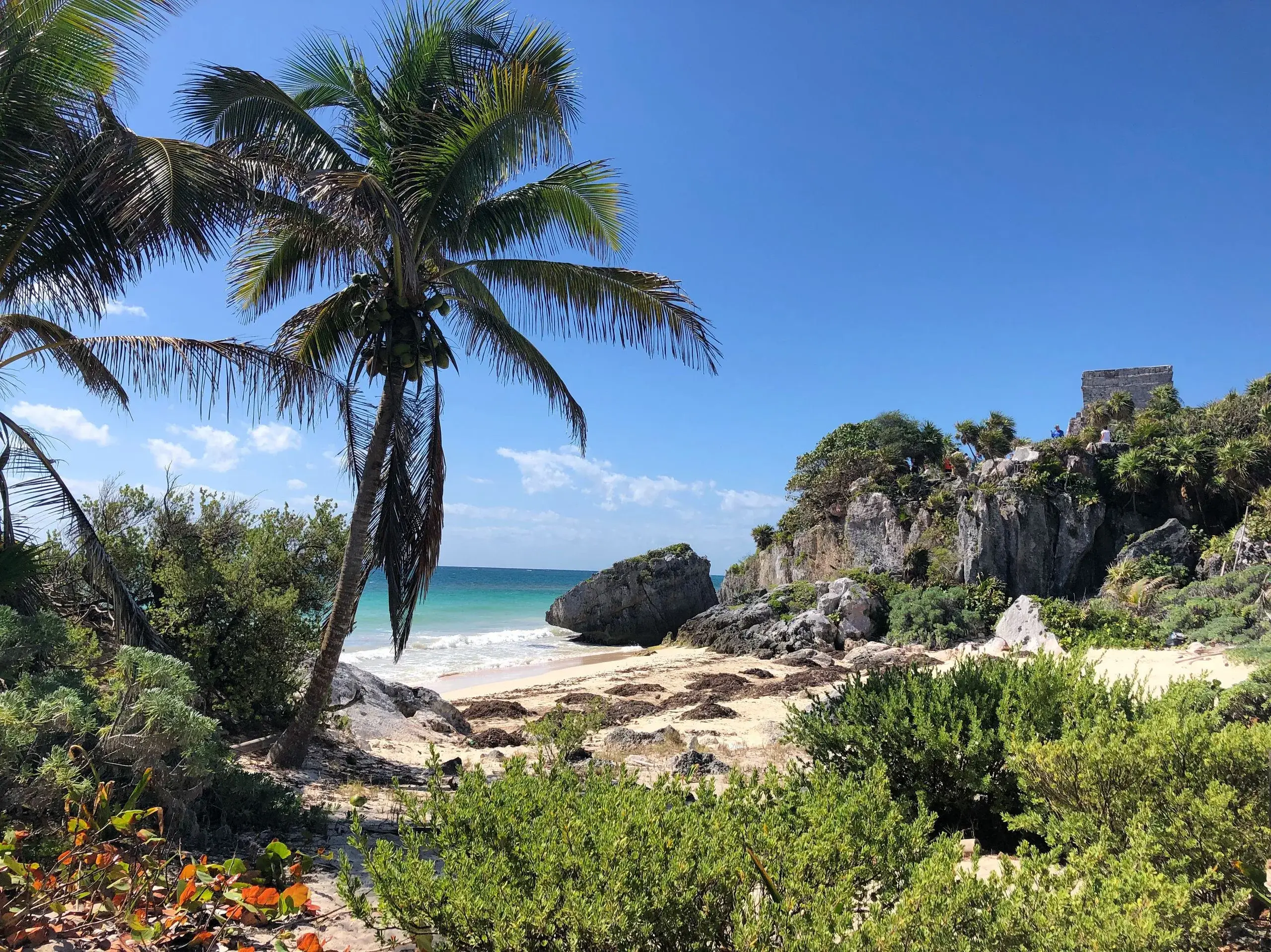 Tulum Ruins & Playa Paraíso