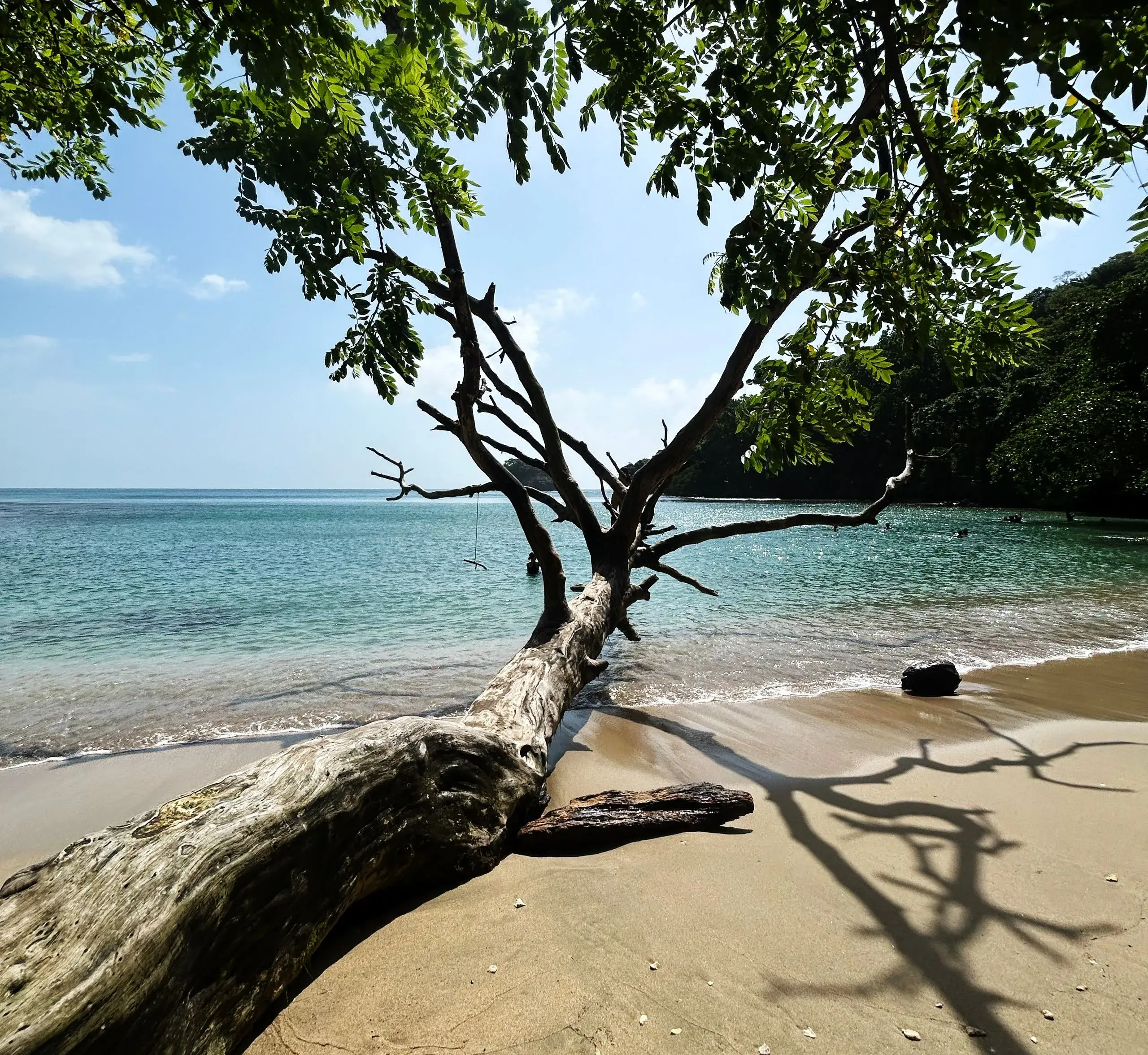 Santa Clara & Farallón Beach Day