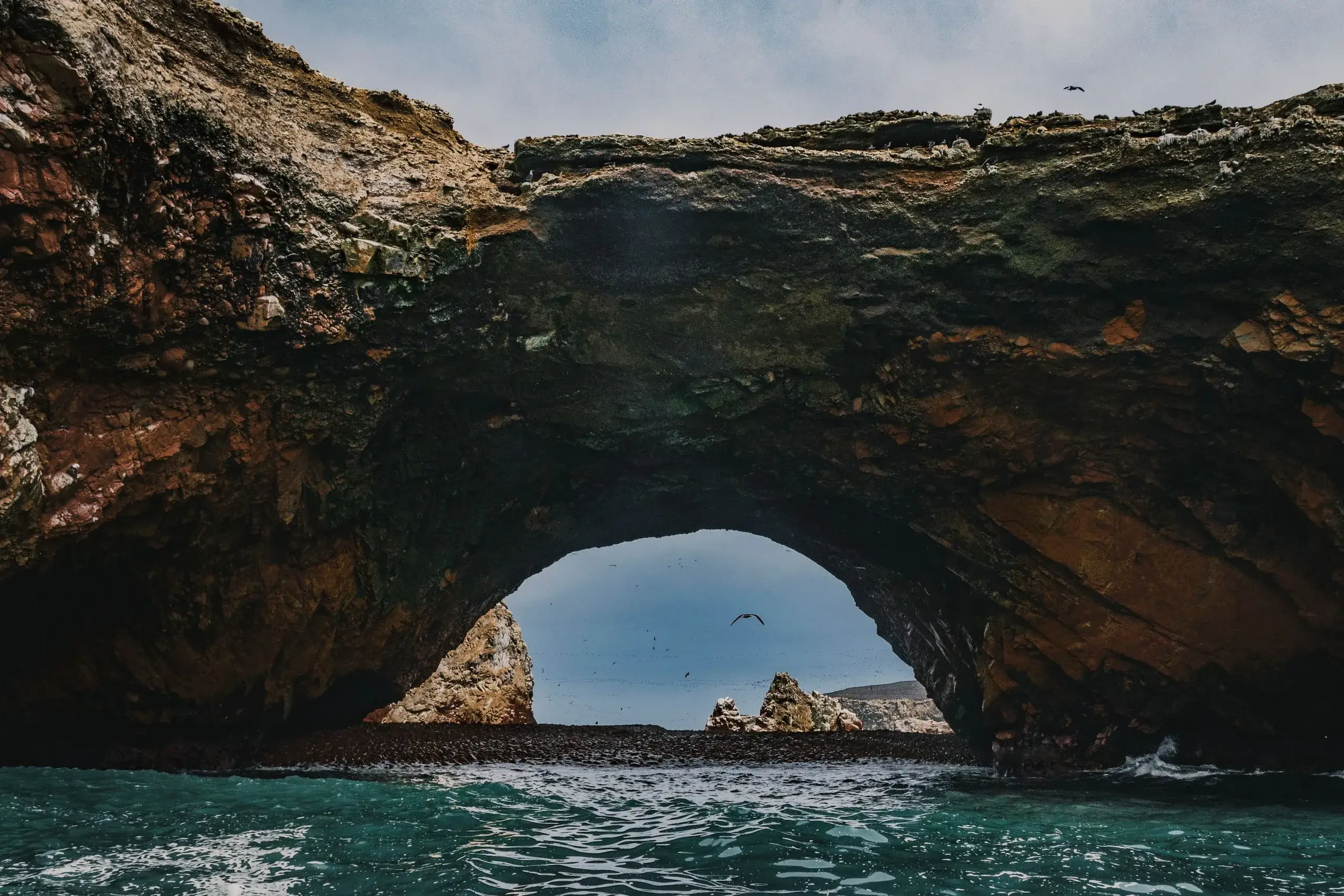 Paracas & Ballestas Islands