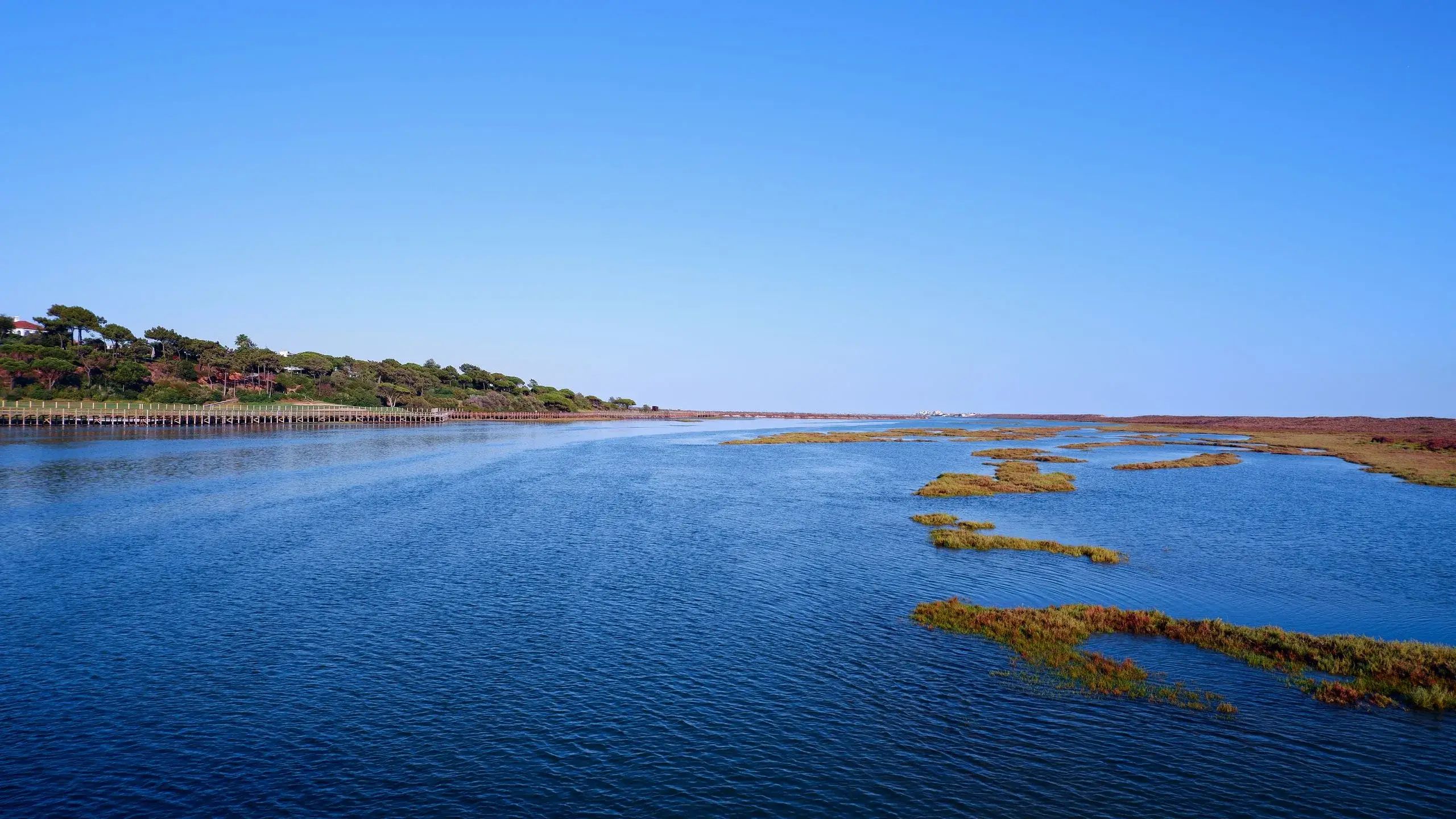 Ria Formosa Lagoon Cruise