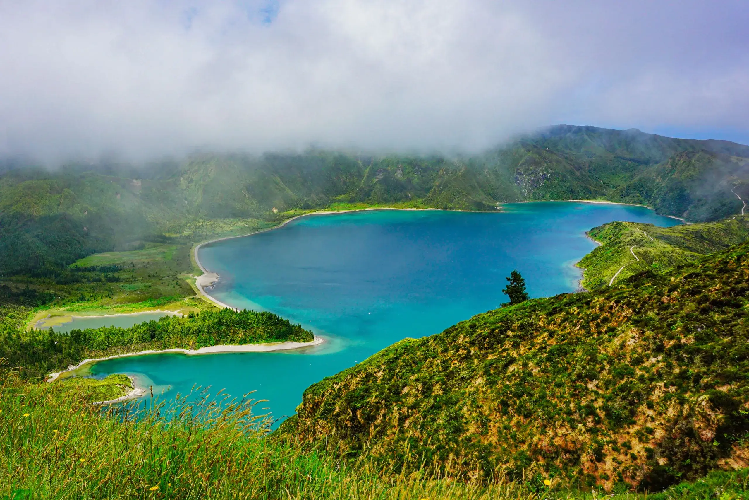 Lagoa do Fogo & Gorreana Tea