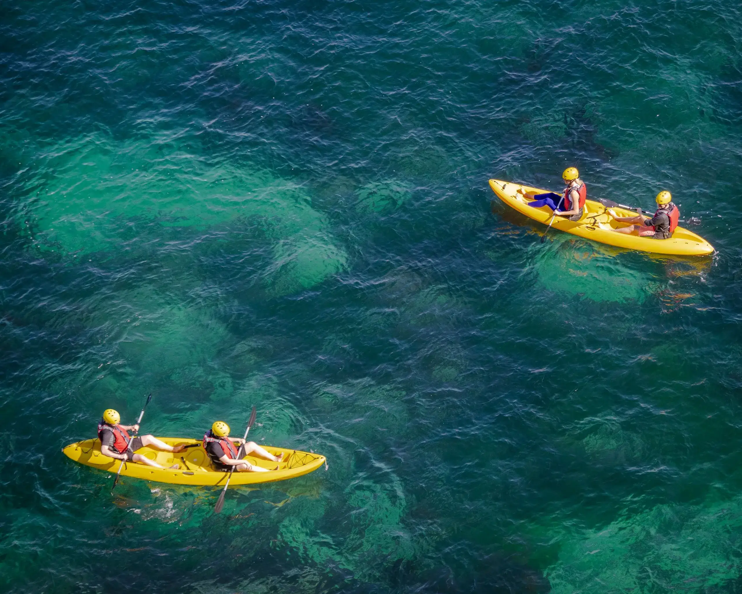 Bioluminescent Bay Kayak