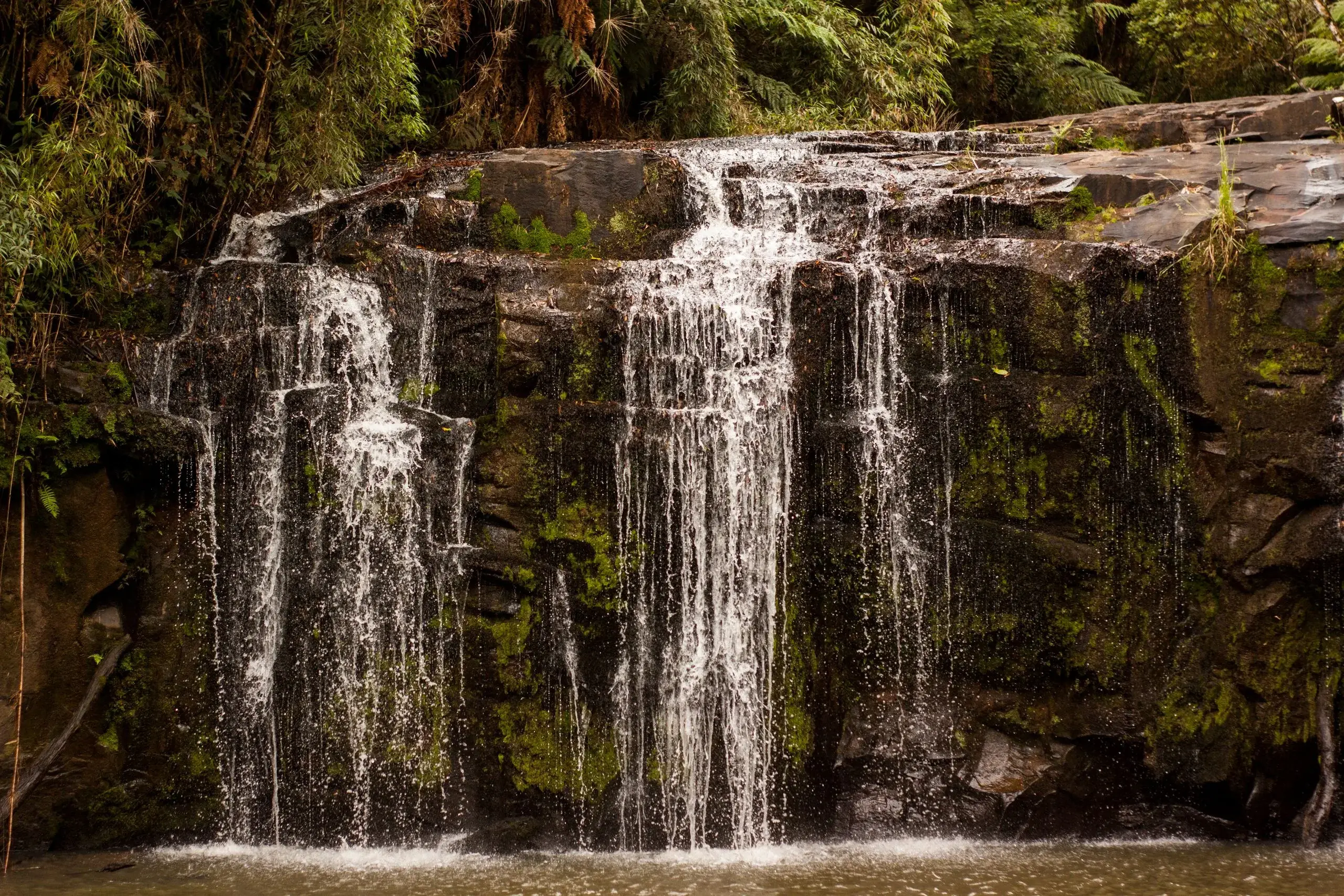 El Yunque Rainforest & Waterfalls