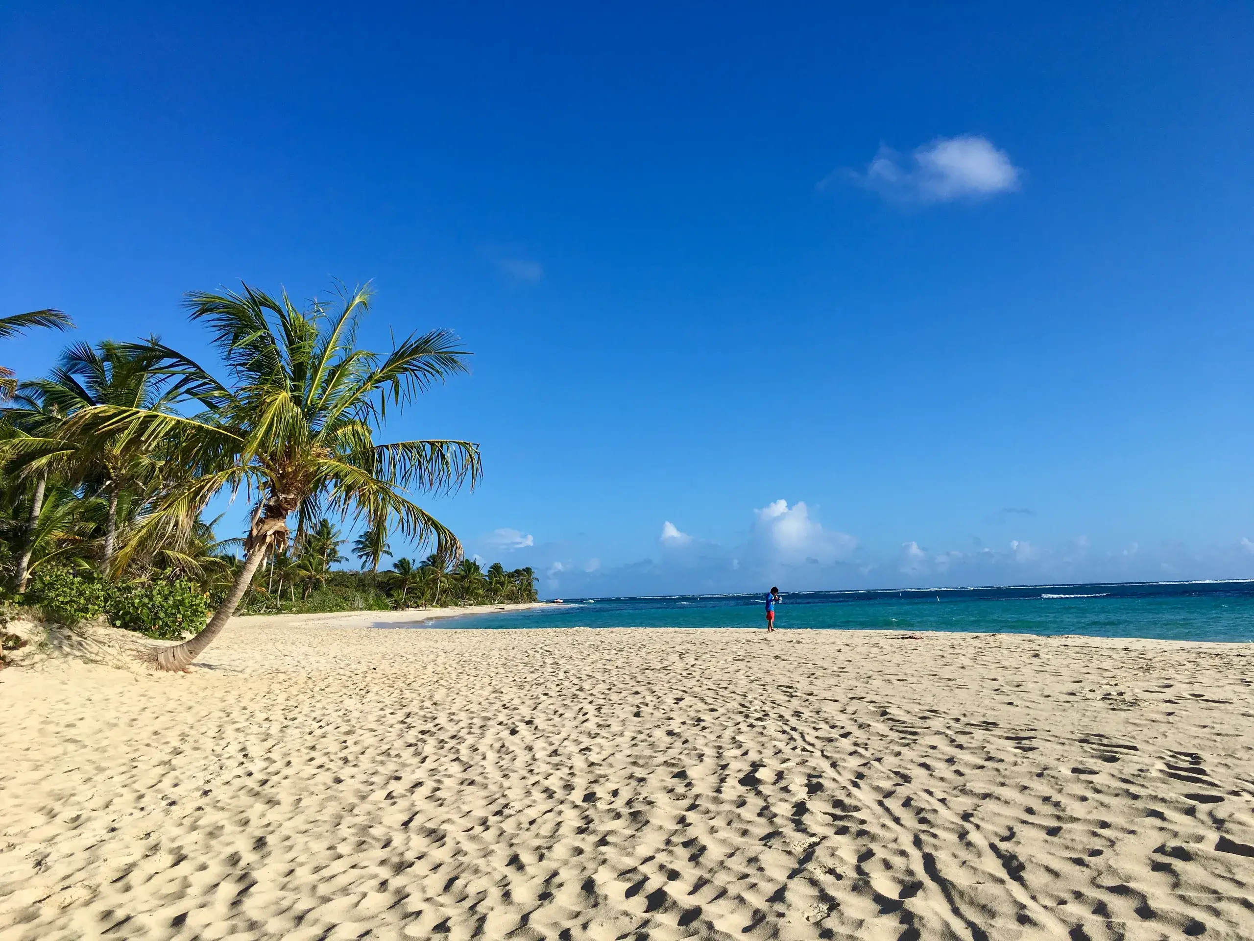 Culebra Catamaran & Flamenco Beach