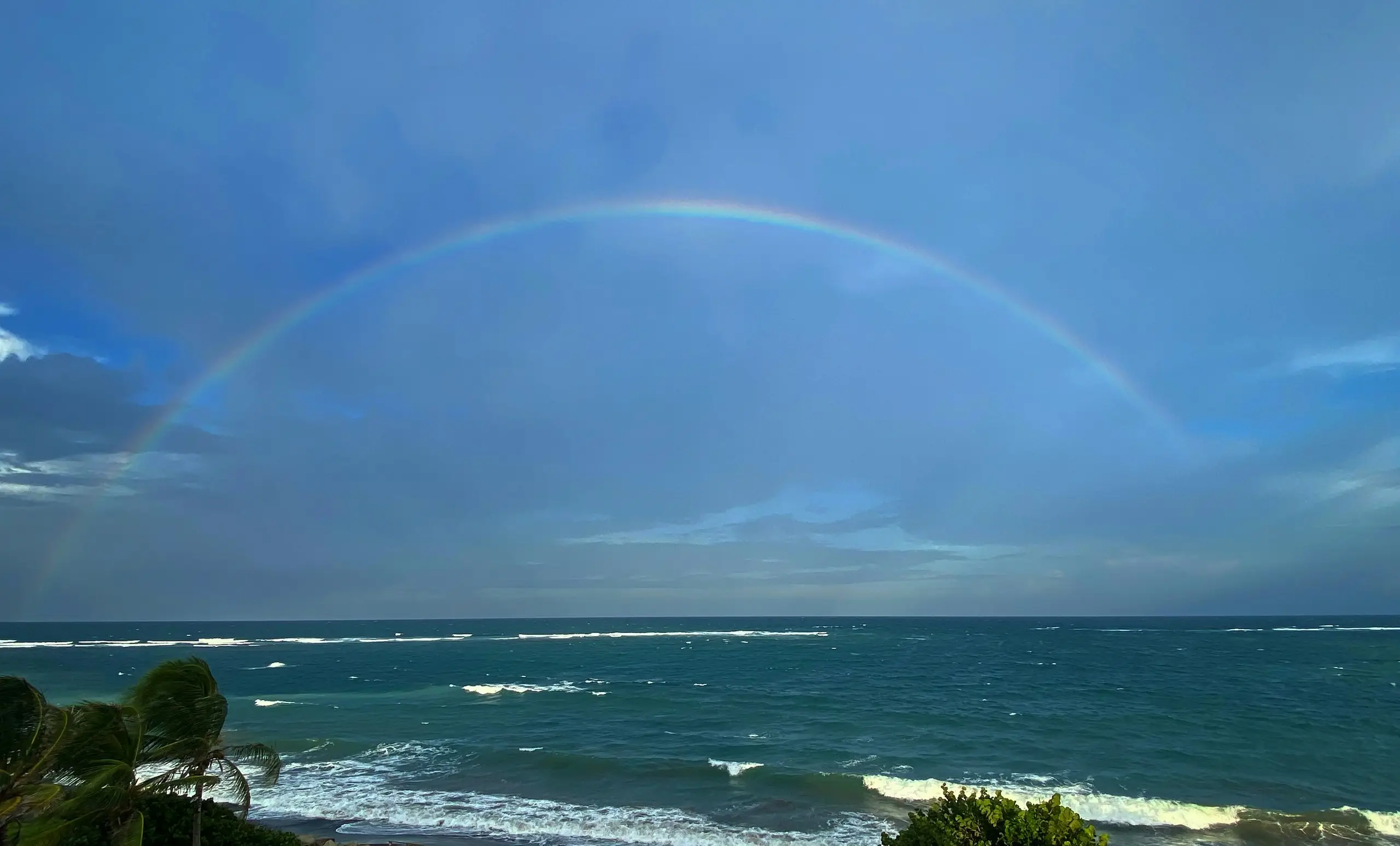 A rainbow arcing over the sea beyond a windswept palm and breaking surf, Nevis