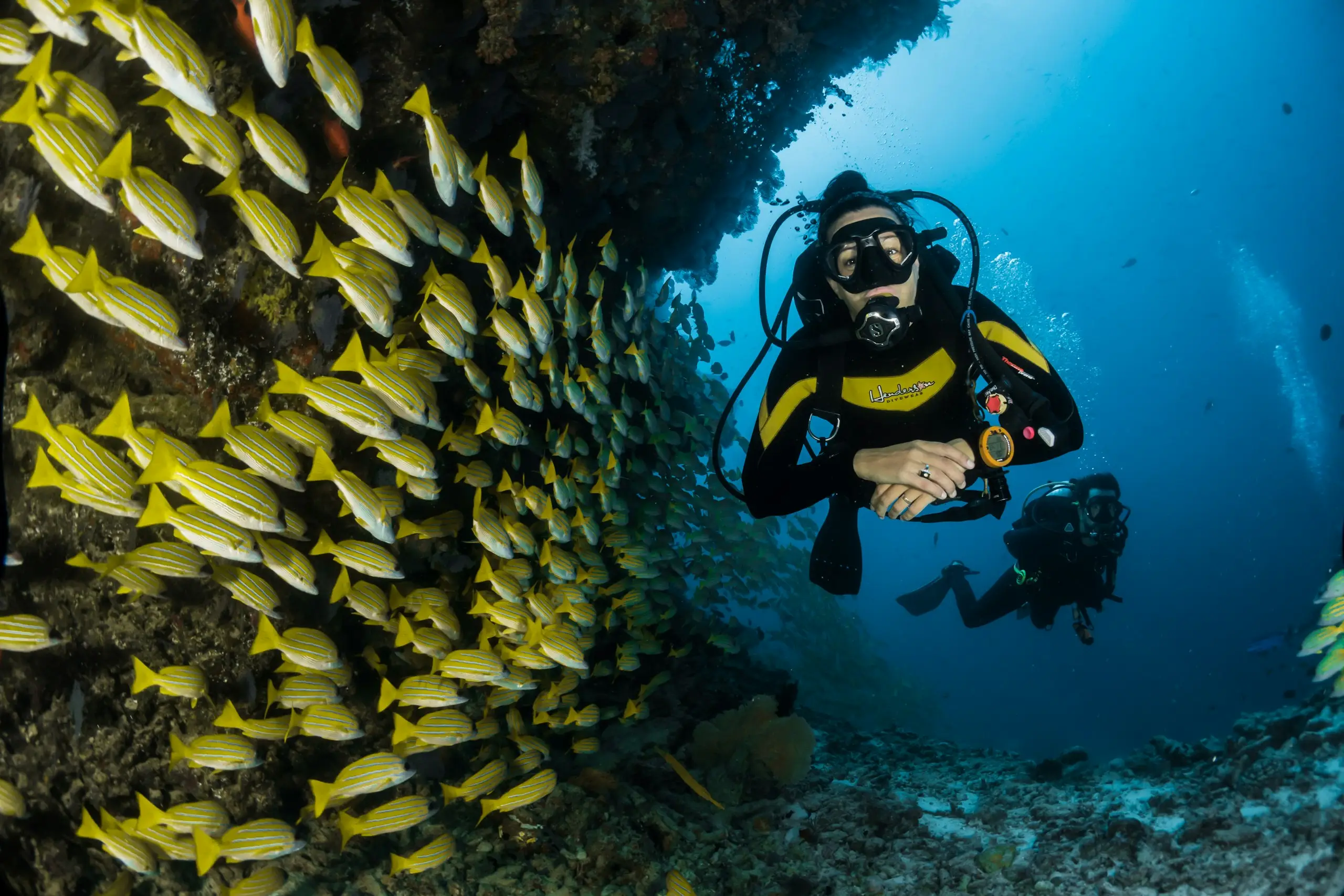 A diver among schooling yellow fish in a sea cave