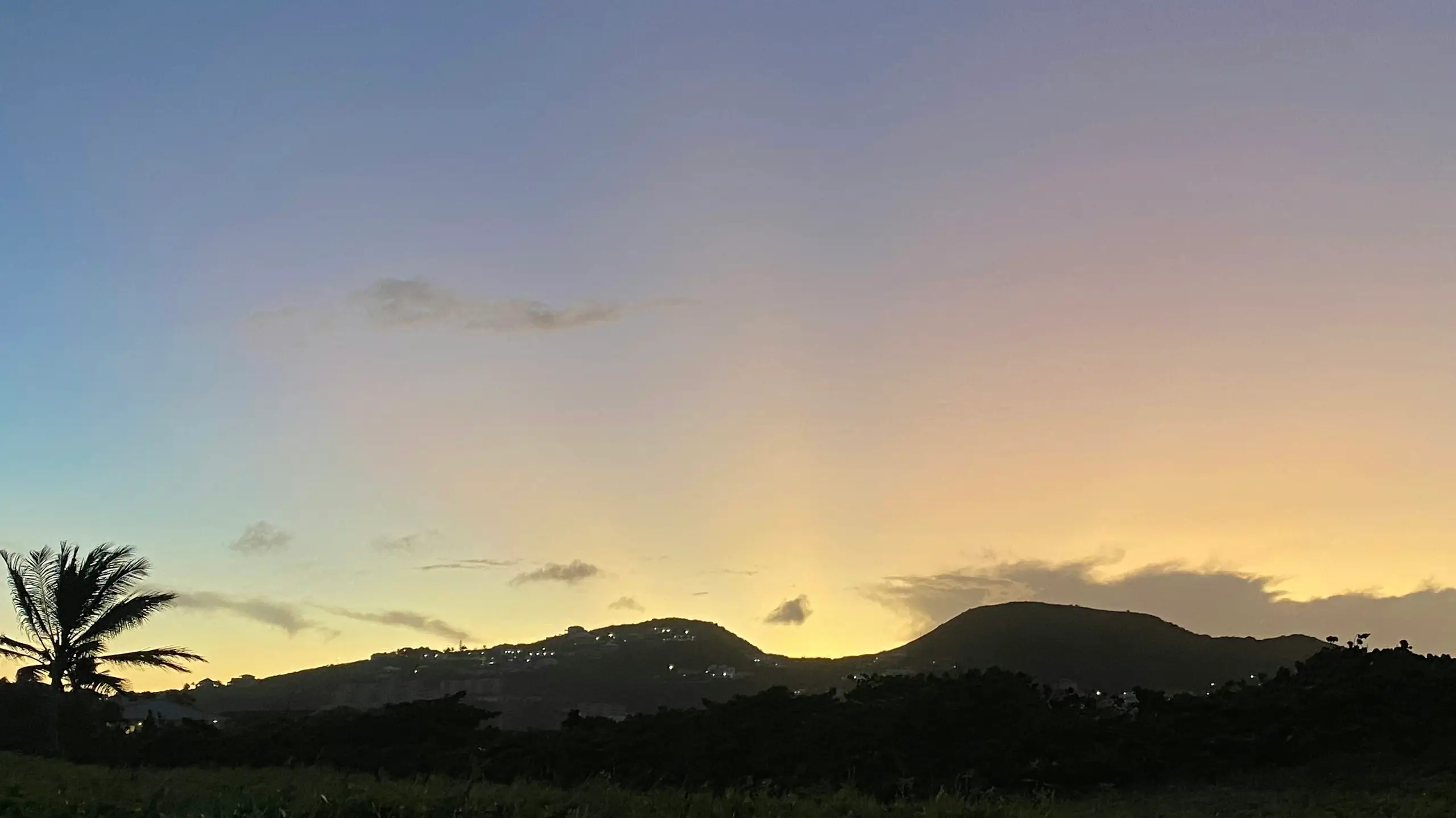 Dusk over the hills of Saint Kitts with a palm silhouetted in the foreground
