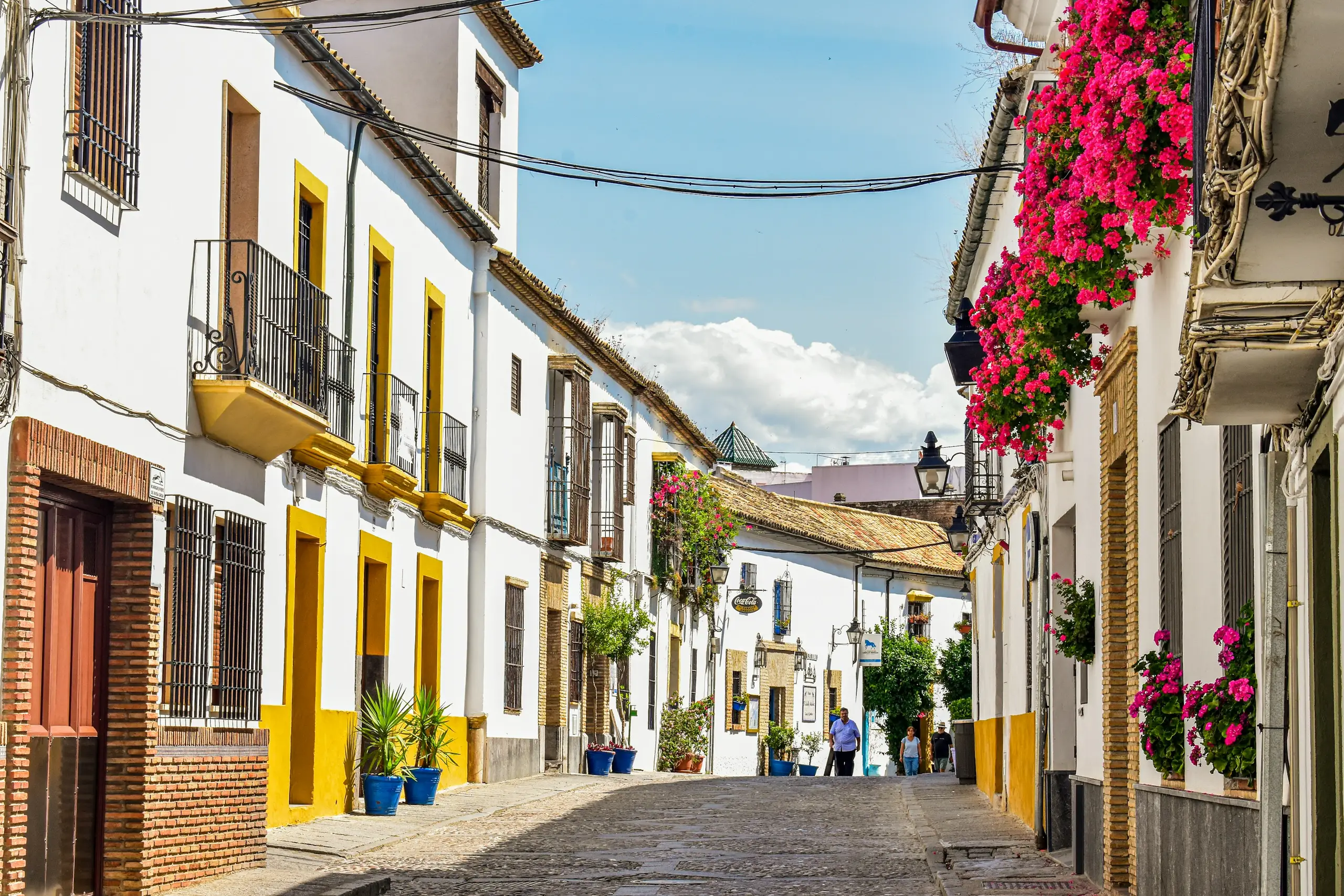 A whitewashed old-town street lined with flowering geraniums, La Pineda, Spain