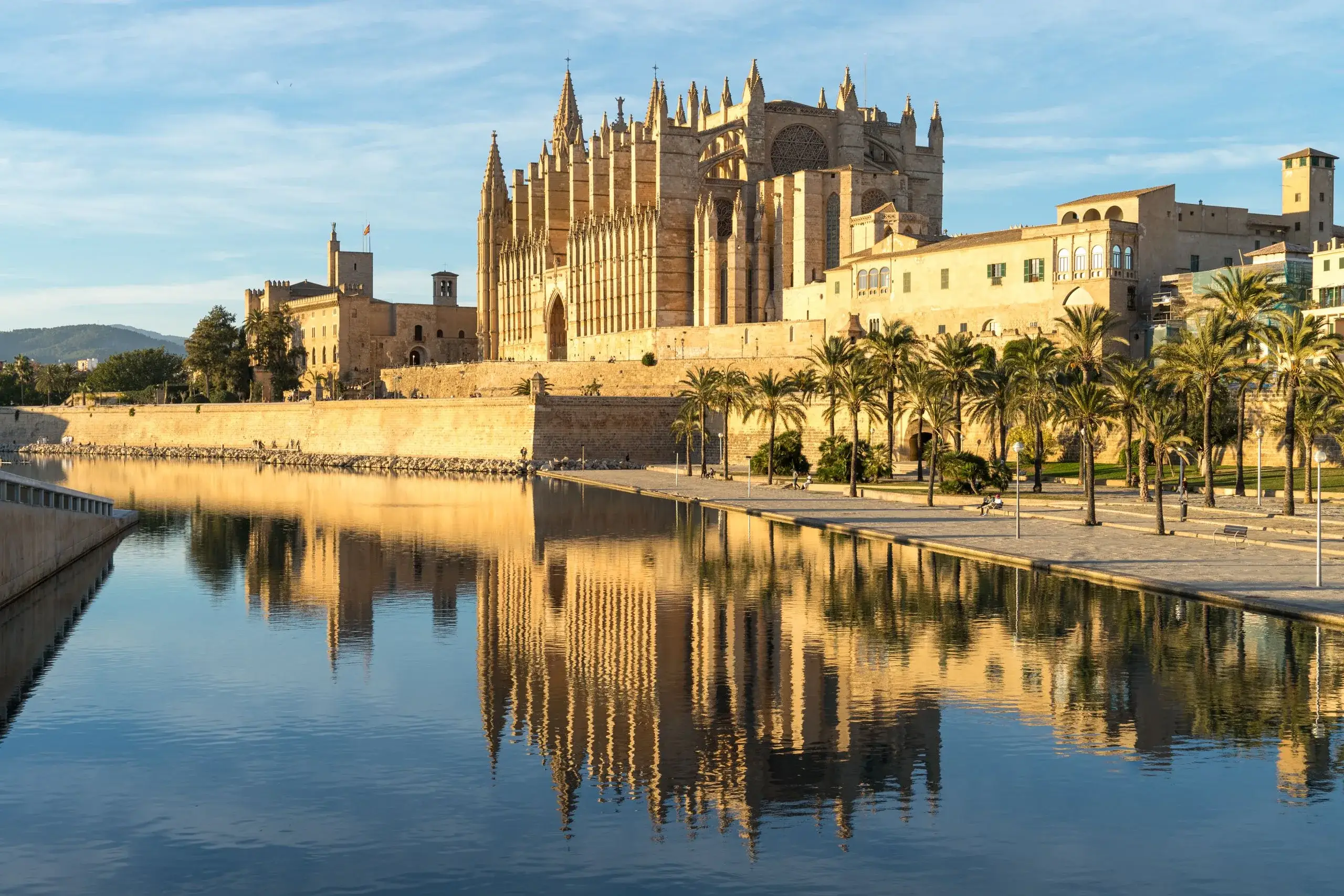 Palma Cathedral and palm trees reflected in still water in Palma de Mallorca