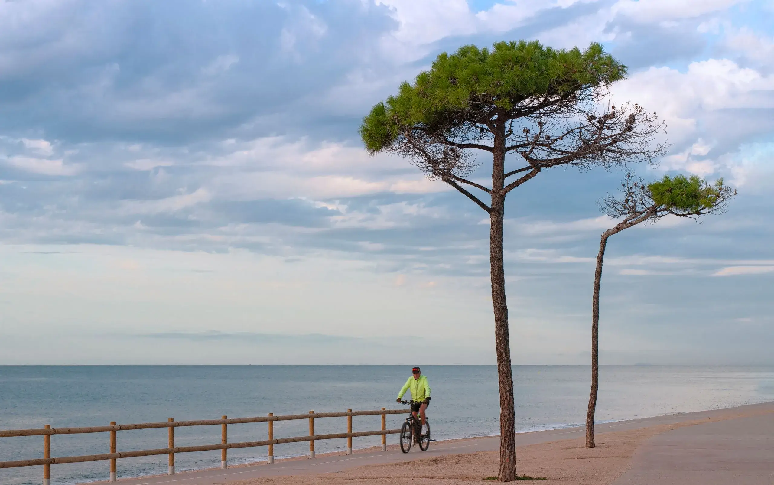 Passeig Marítim Promenade