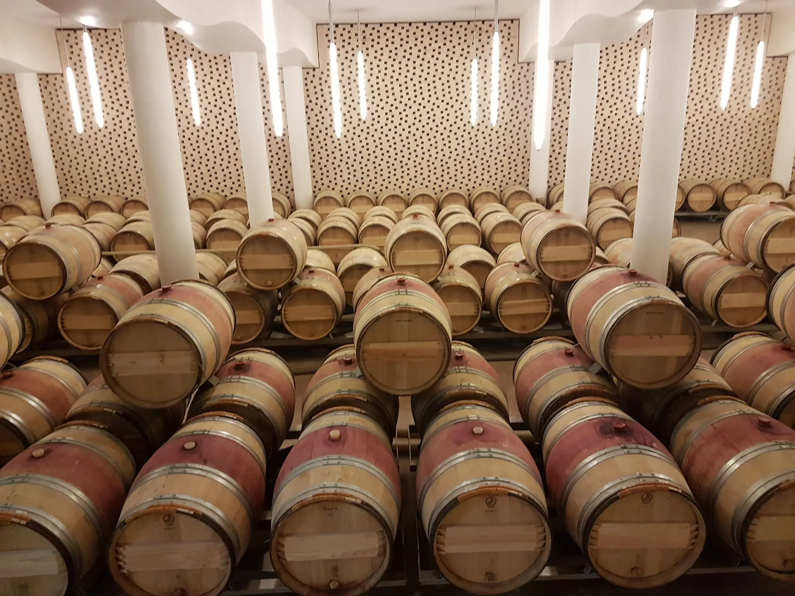 Penedès Cava & Wine Tour