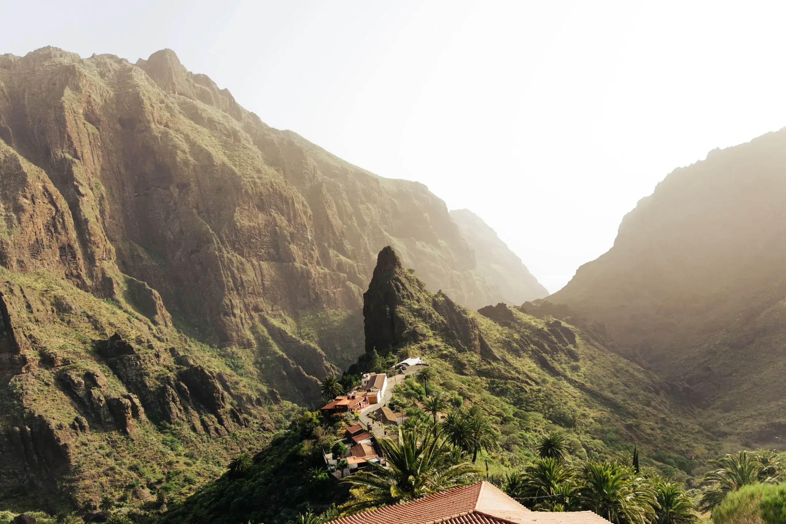 Masca Valley & Los Gigantes Cliffs