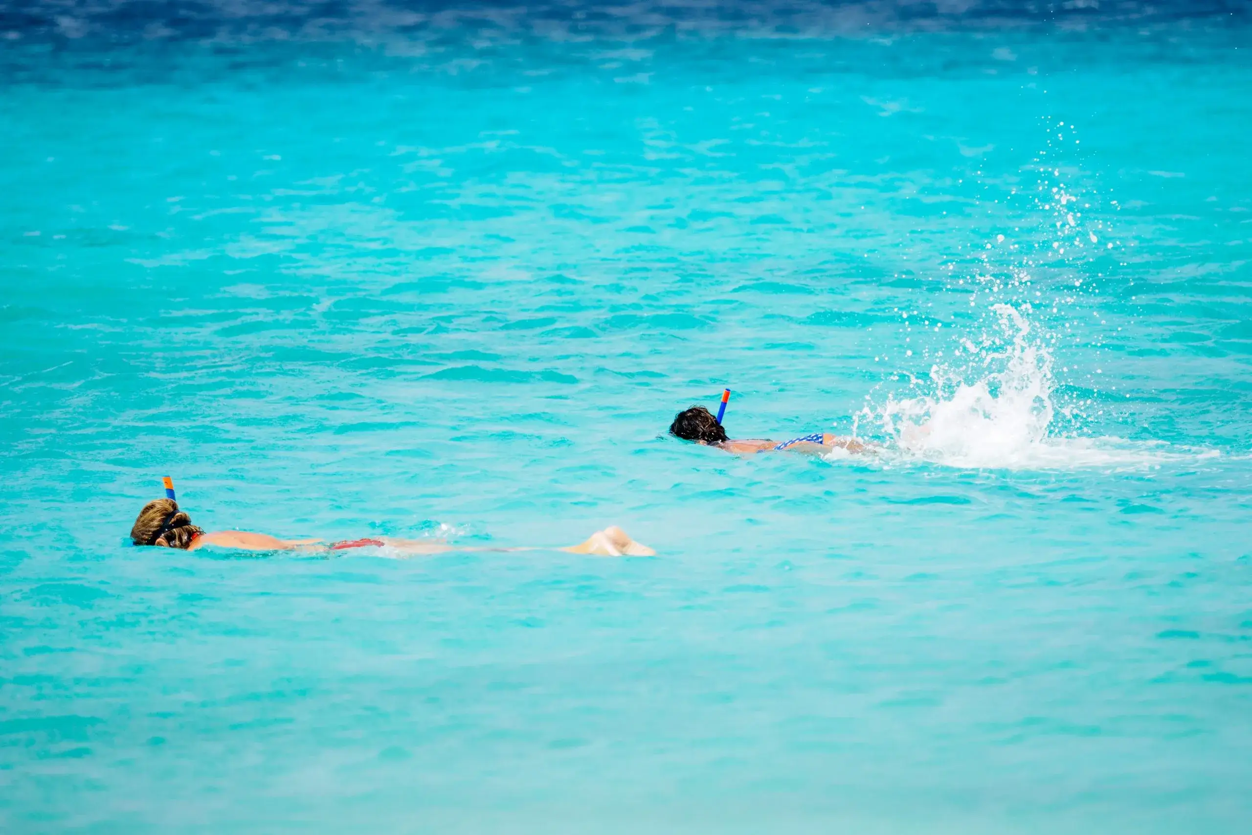 Snorkel the Tobago Cays