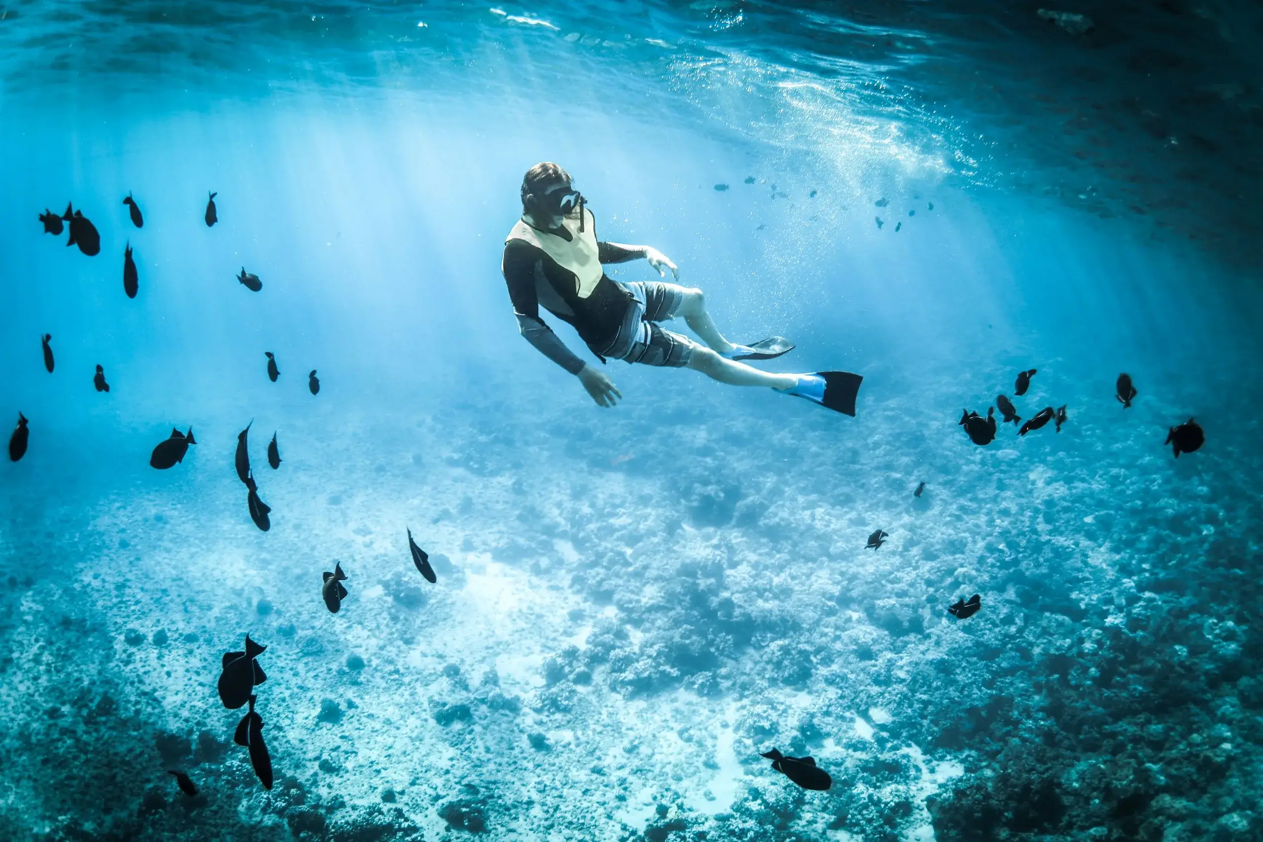Snorkel the Tobago Cays