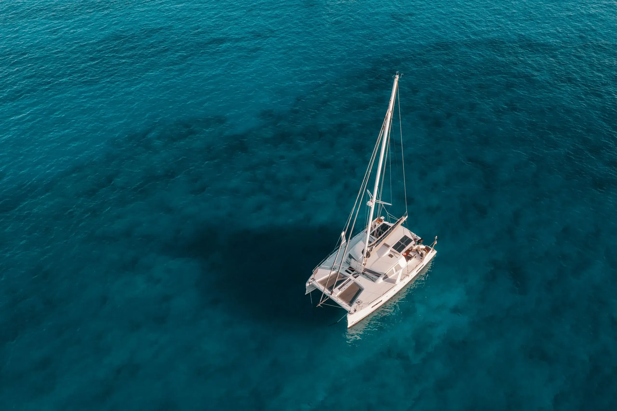 Catamaran Cruise & Iguana Island Snorkel
