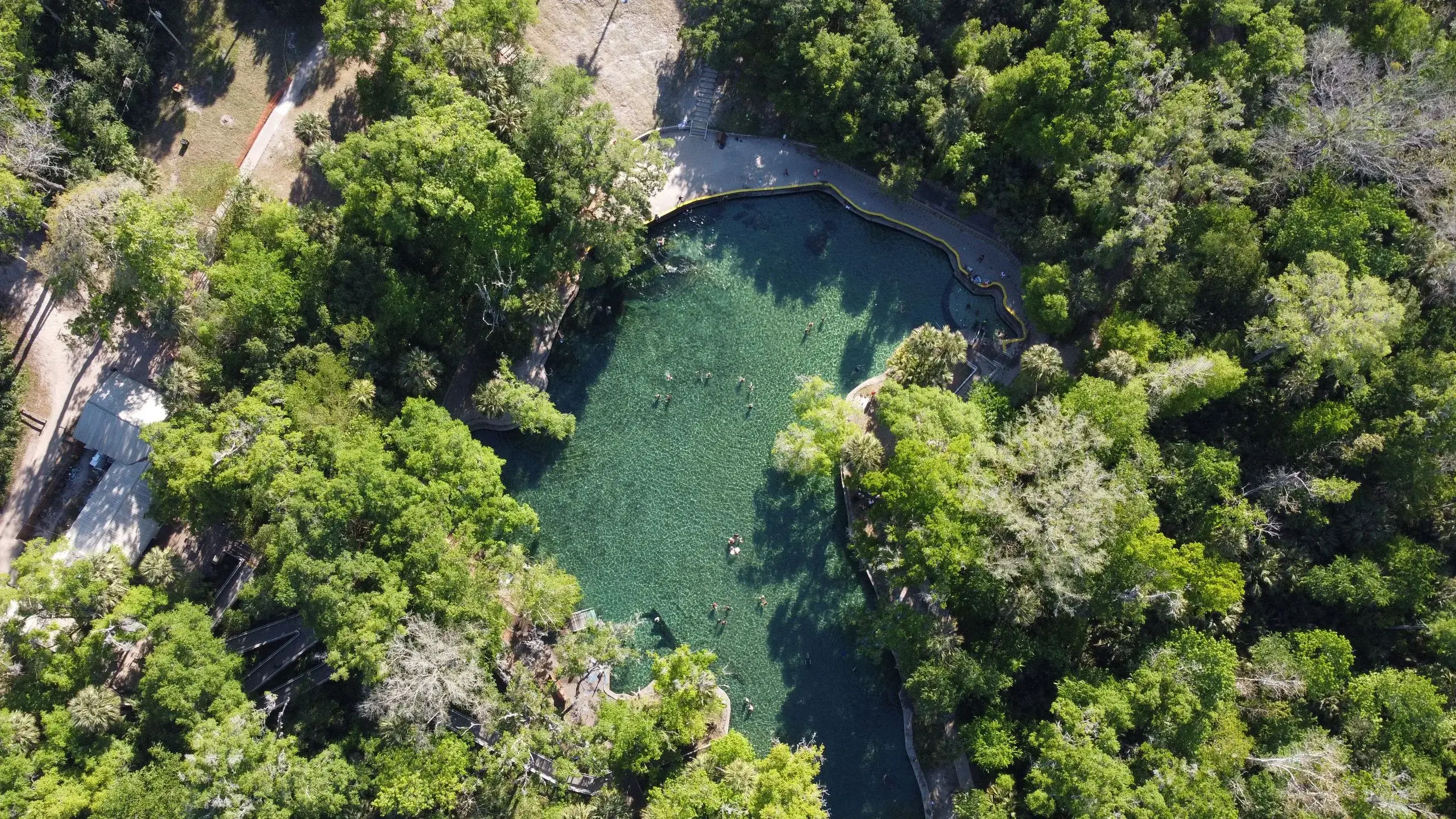 Hamilton Pool Preserve & Hill Country Springs