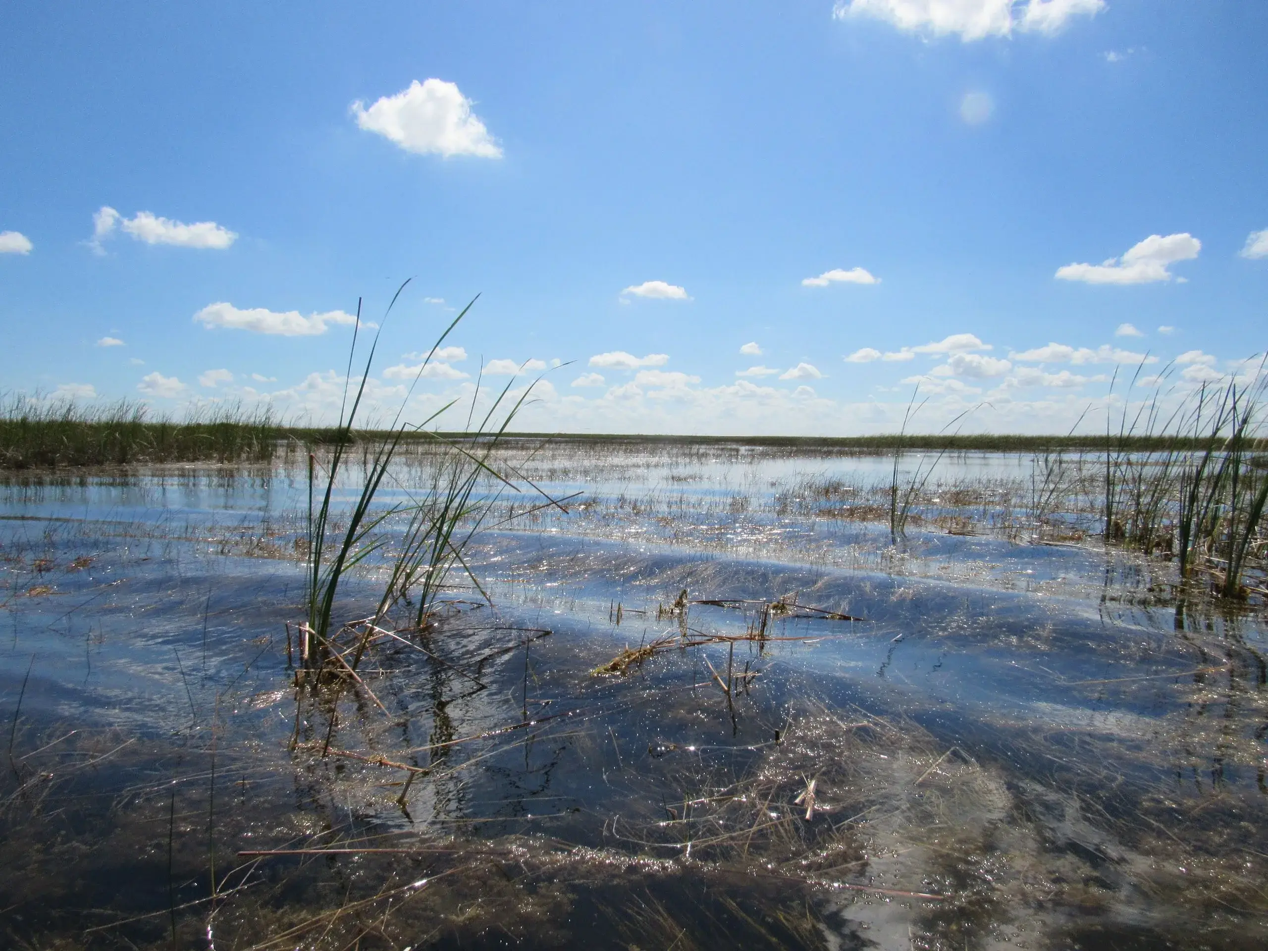 Everglades Airboat Adventure