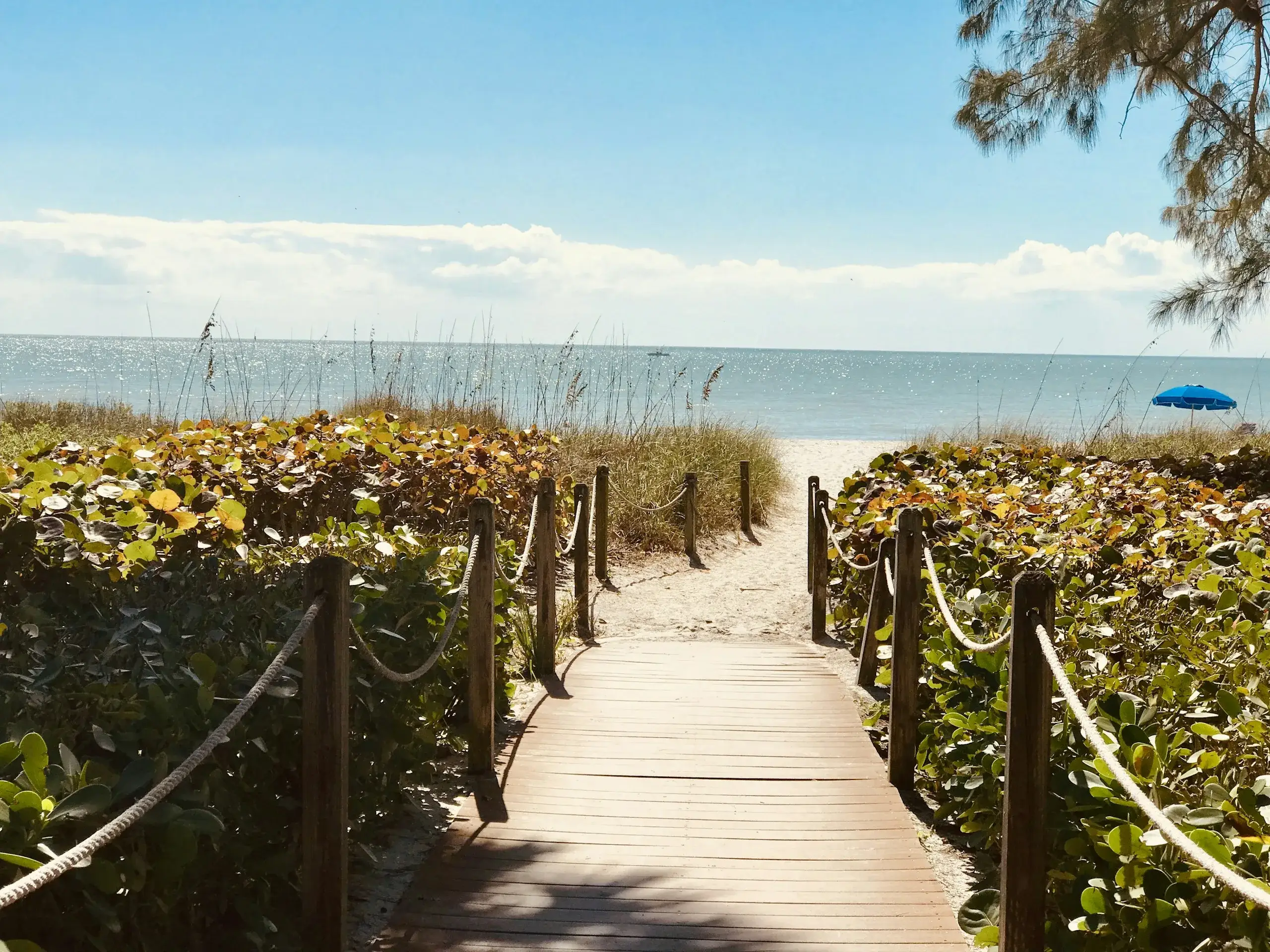 Sanibel & Captiva Islands