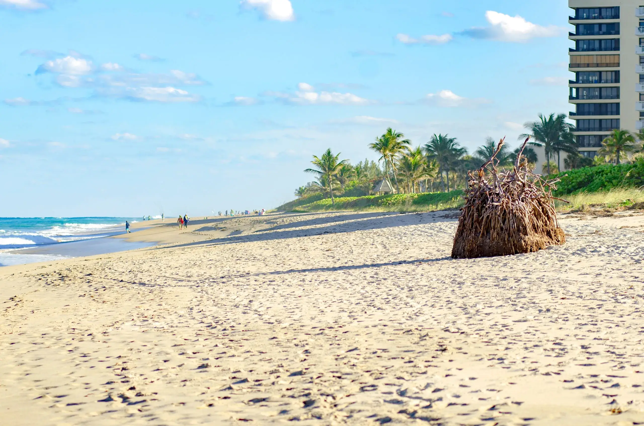 Palm Beach & Boca Raton