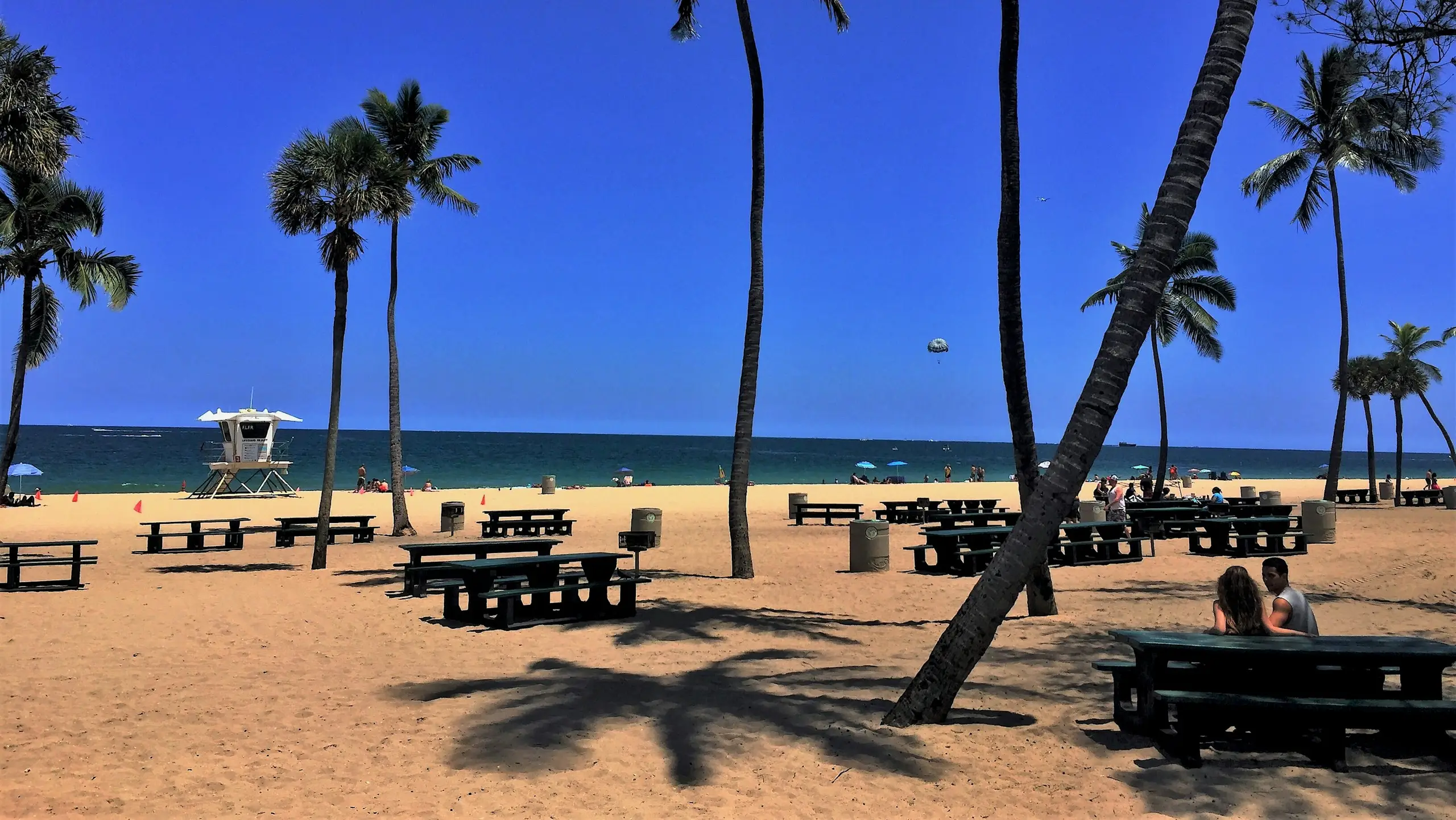 Palms shading beachfront picnic tables with a lifeguard tower and parasailer beyond, Fort Lauderdale, Florida