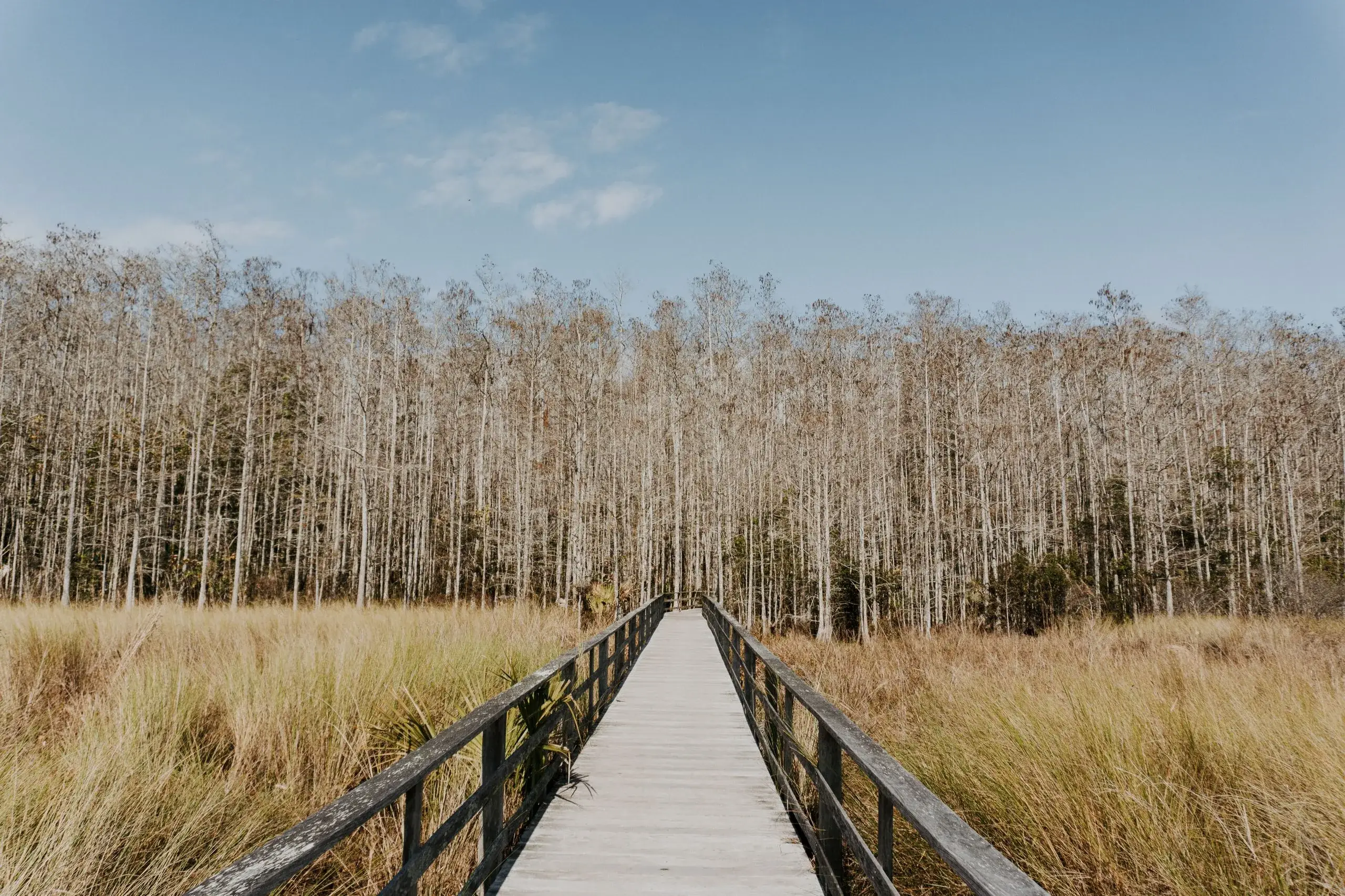 Six Mile Cypress Slough Preserve