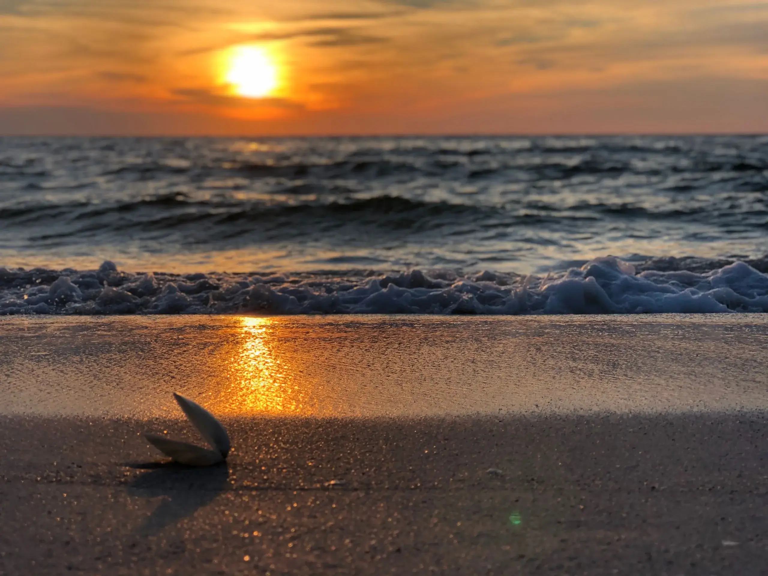 Boca Grande & Gasparilla Island