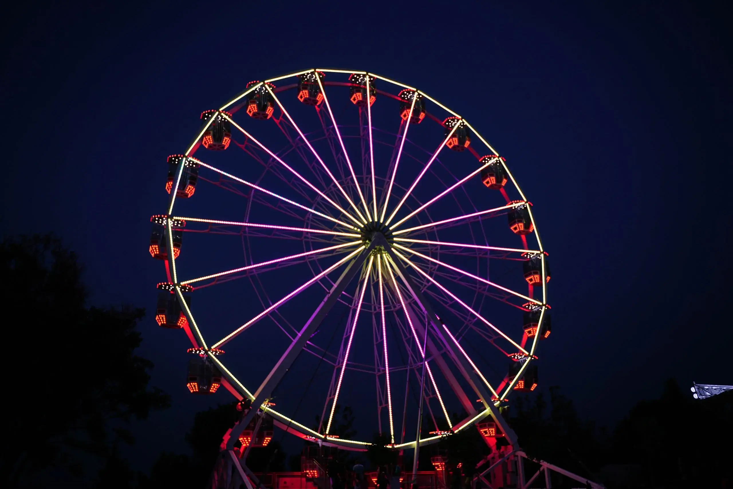 Disneyland Resort