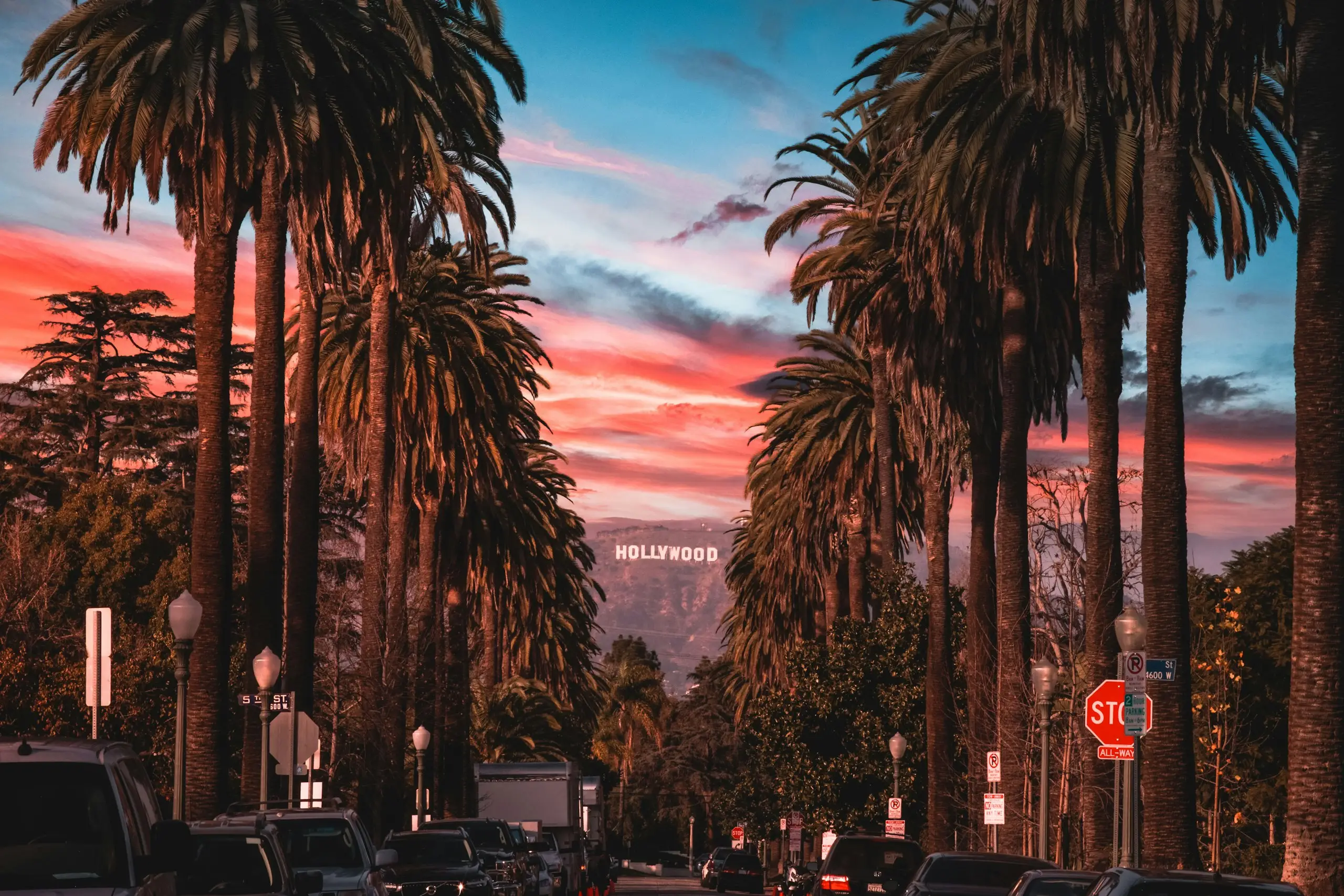 Palm trees and the Hollywood Sign at sunset