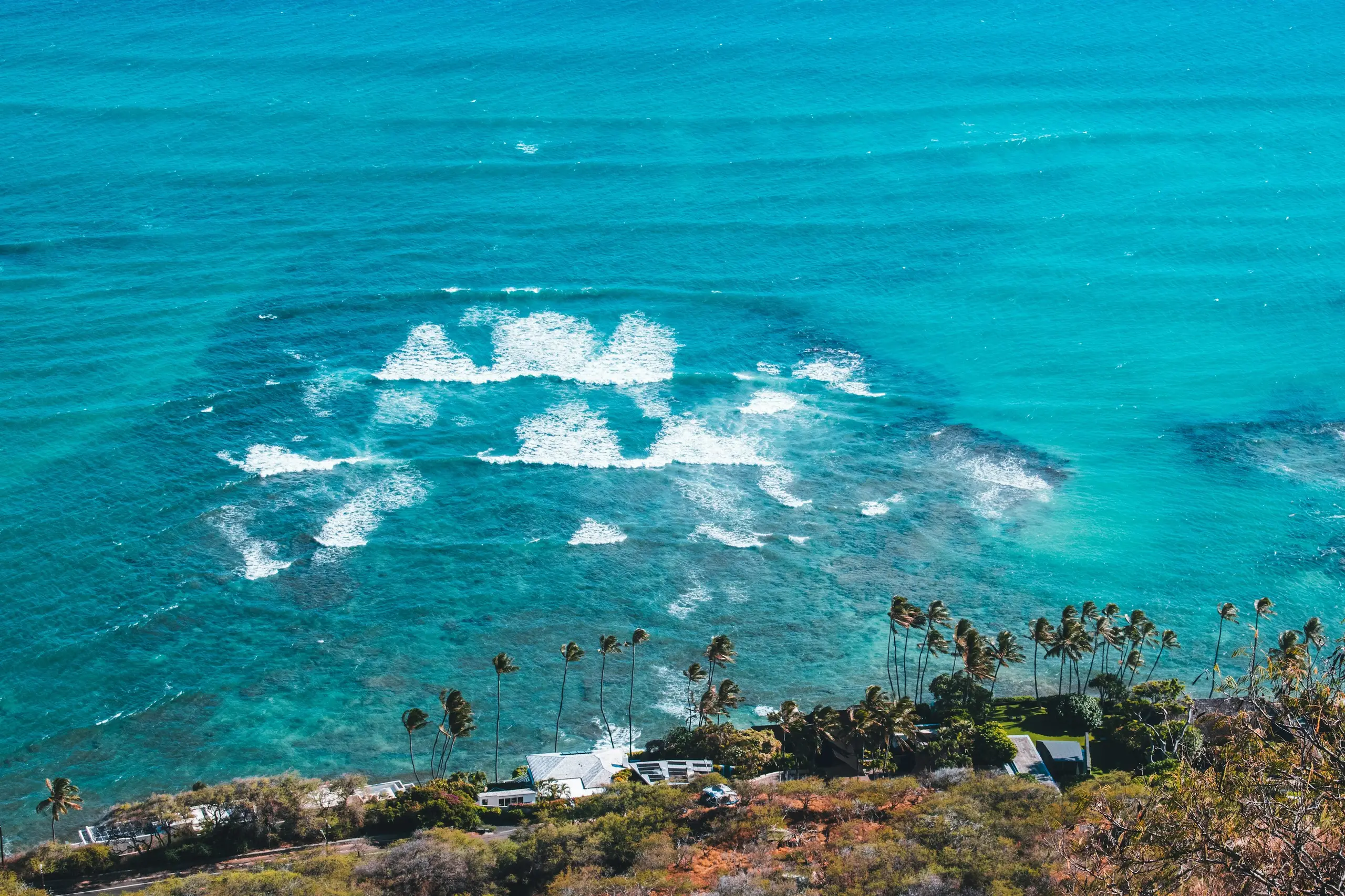 An aerial view of turquoise reef and surf below a palm-lined Oahu shore, Honolulu, Hawaii