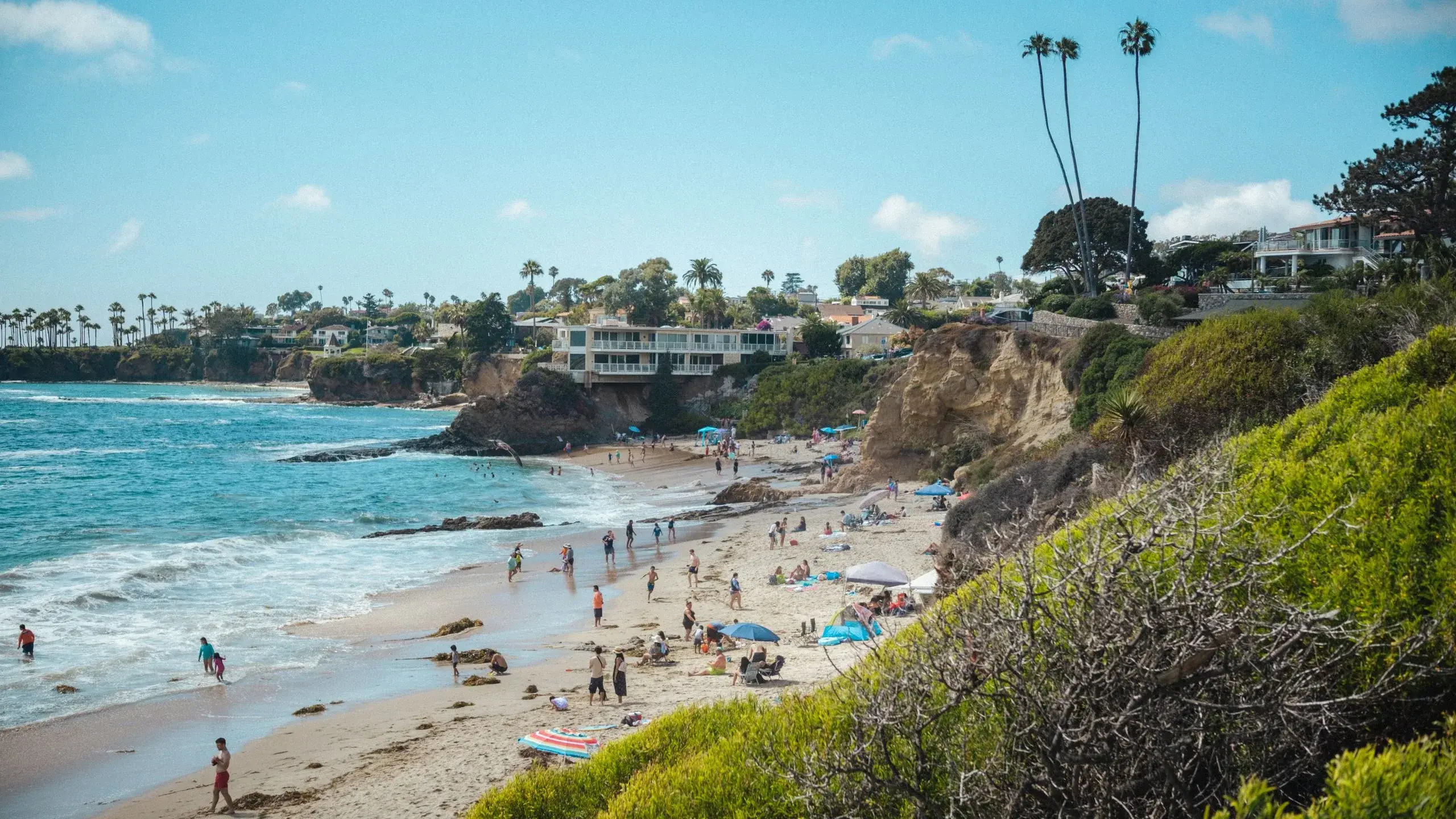 Laguna Beach & the PCH