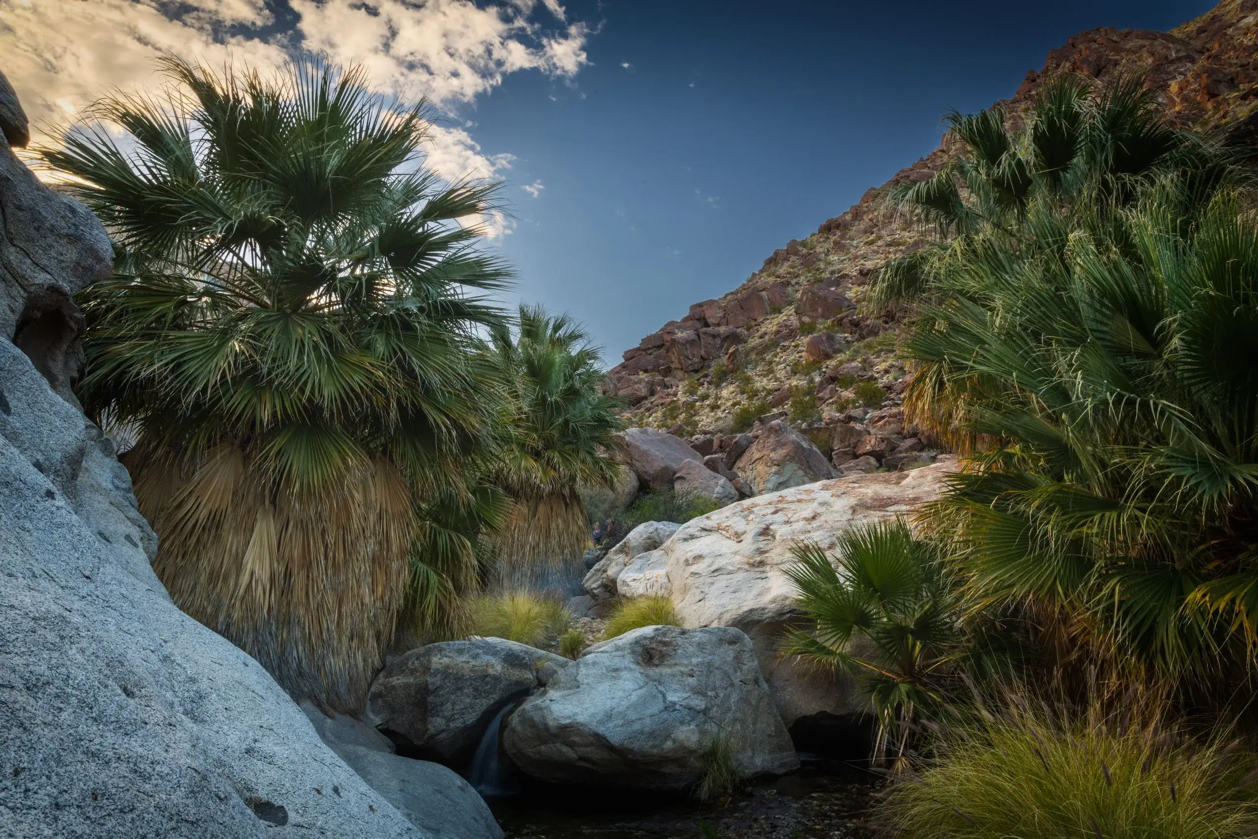 Indian Canyons & Tahquitz Canyon