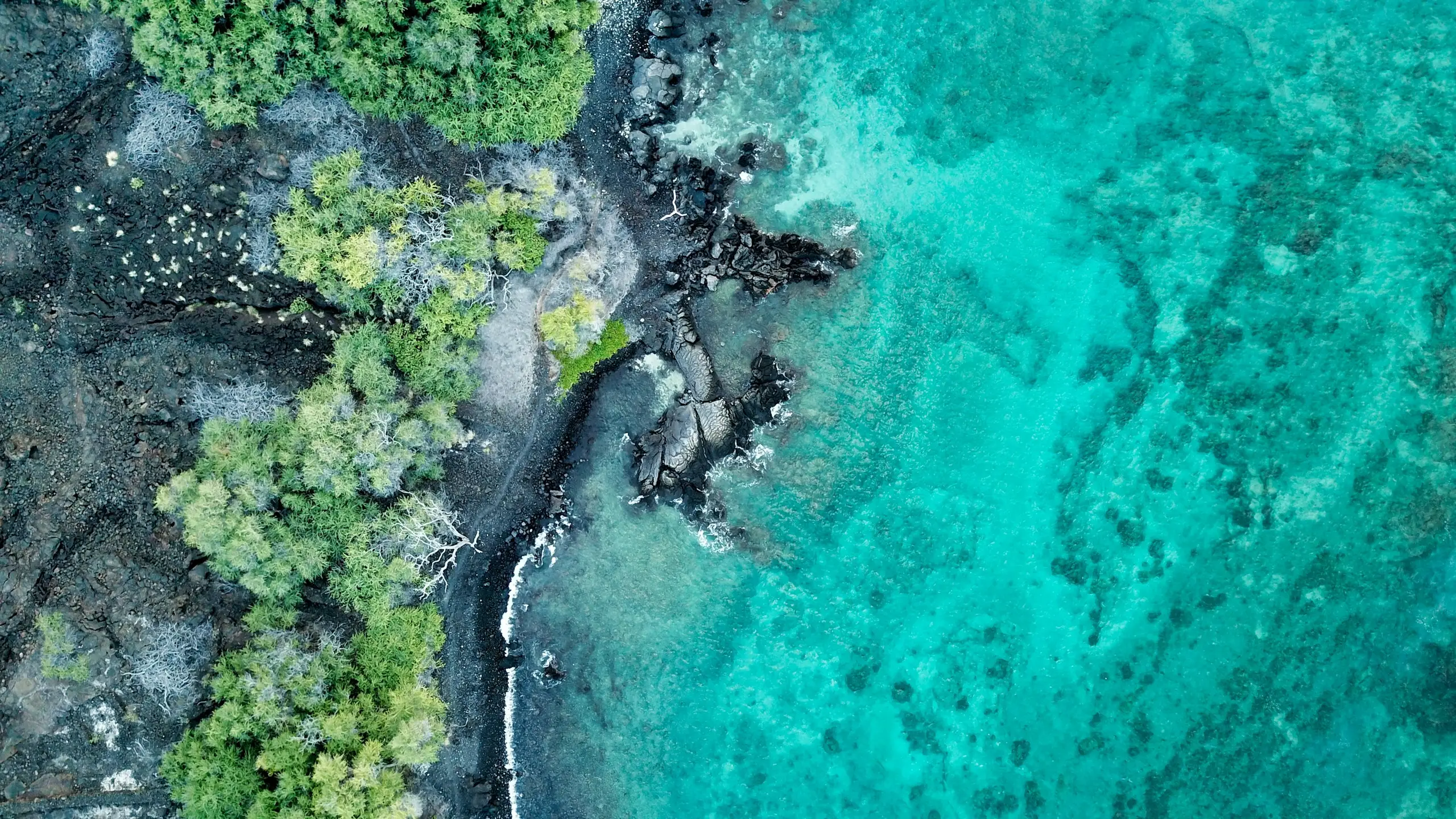 An aerial view of black lava rock meeting turquoise reef water on the Big Island coast, Kamuela, Hawaii