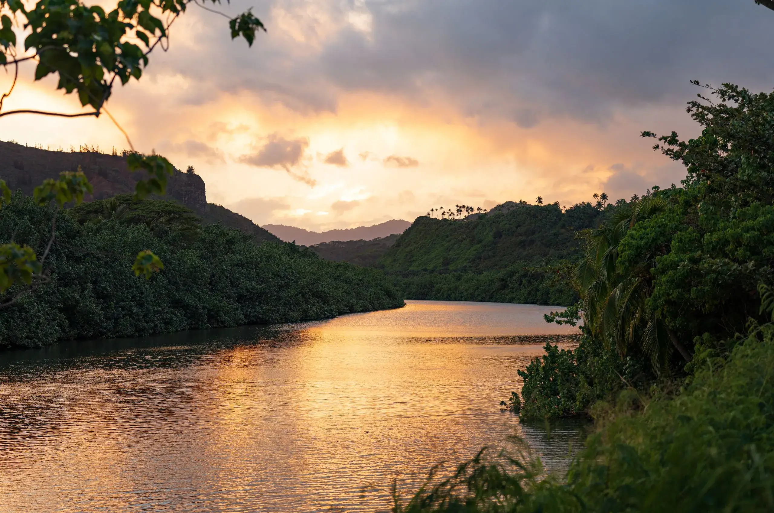 Wailua River & Fern Grotto