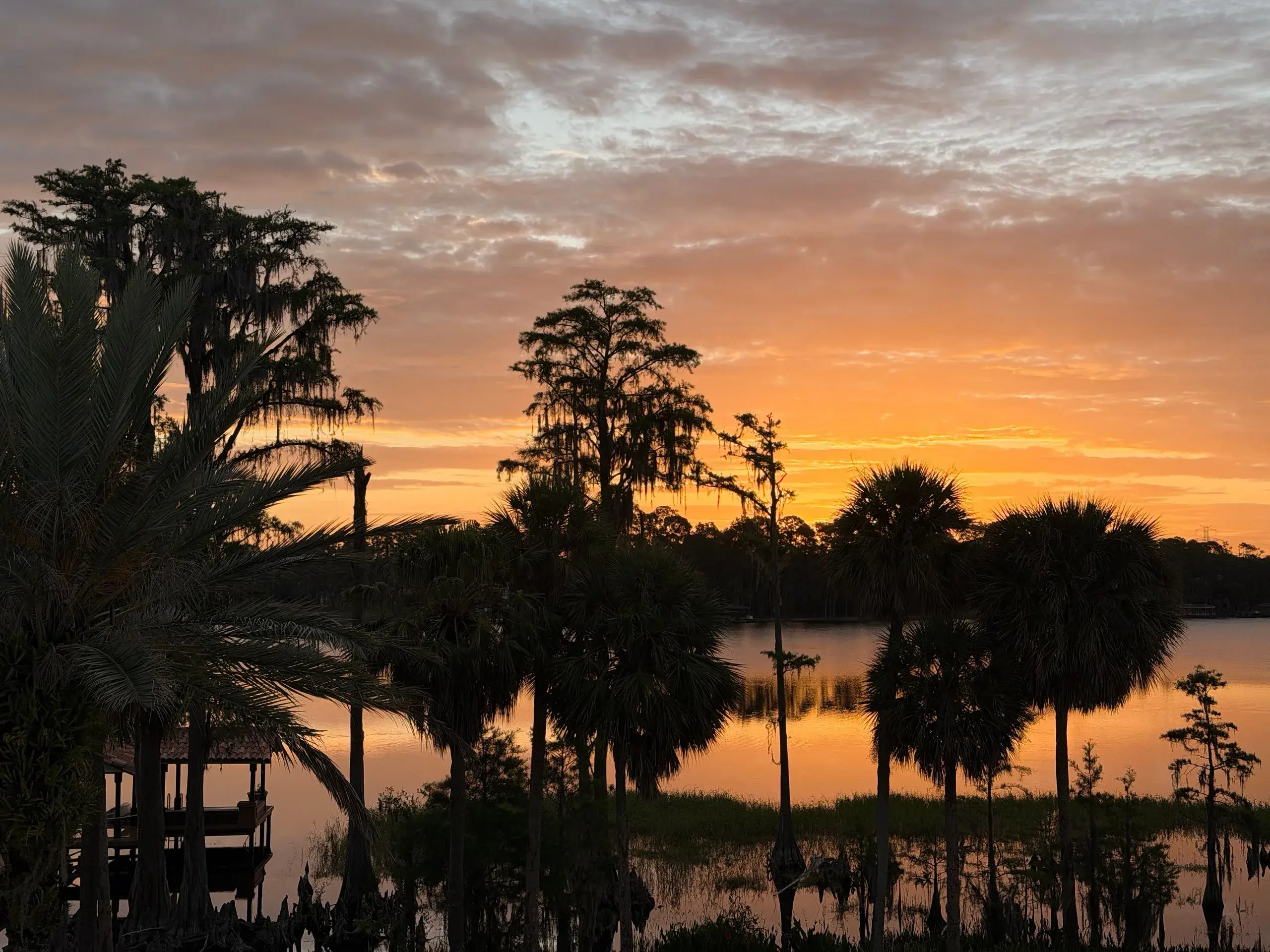 Cypress and palm trees silhouetted against a Florida lake at sunset