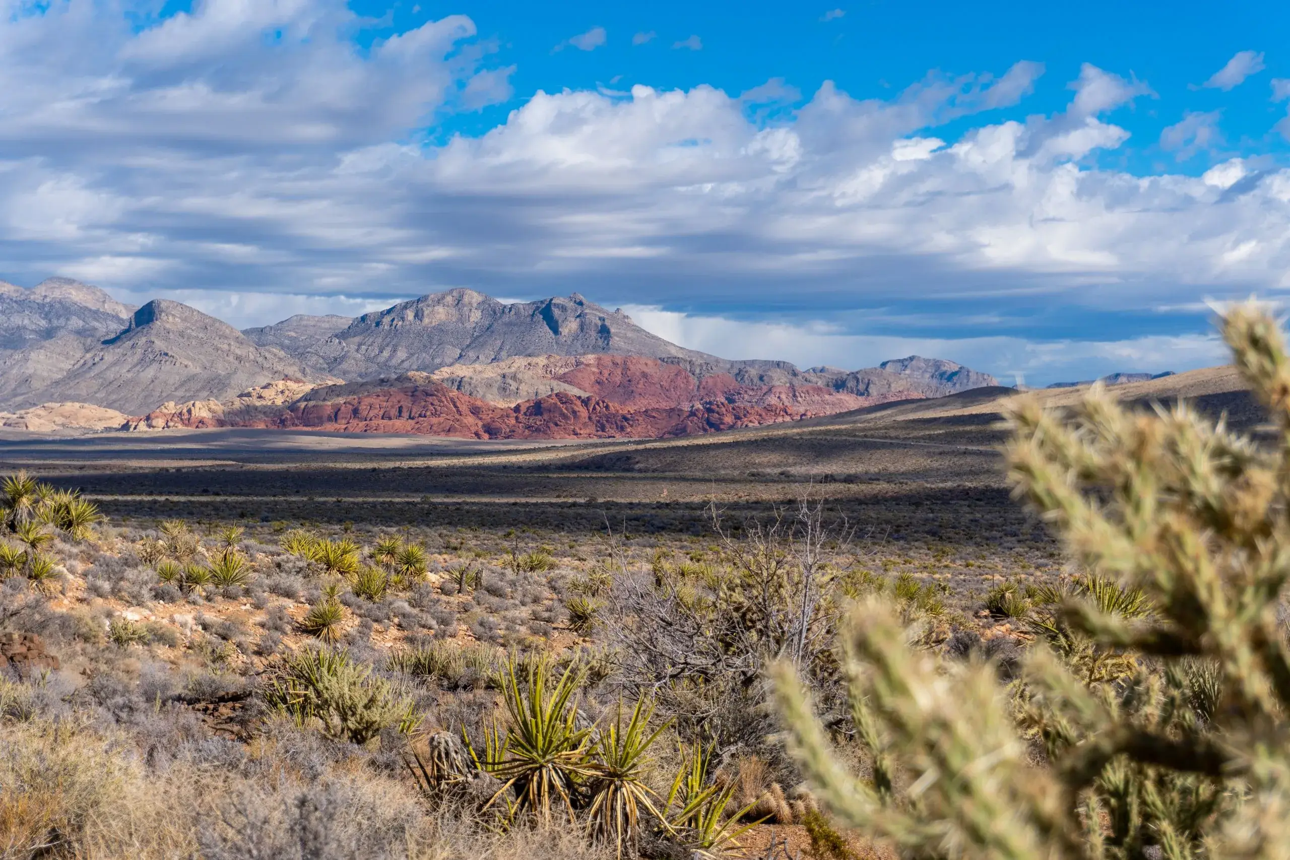 Circuit panoramique de Red Rock Canyon