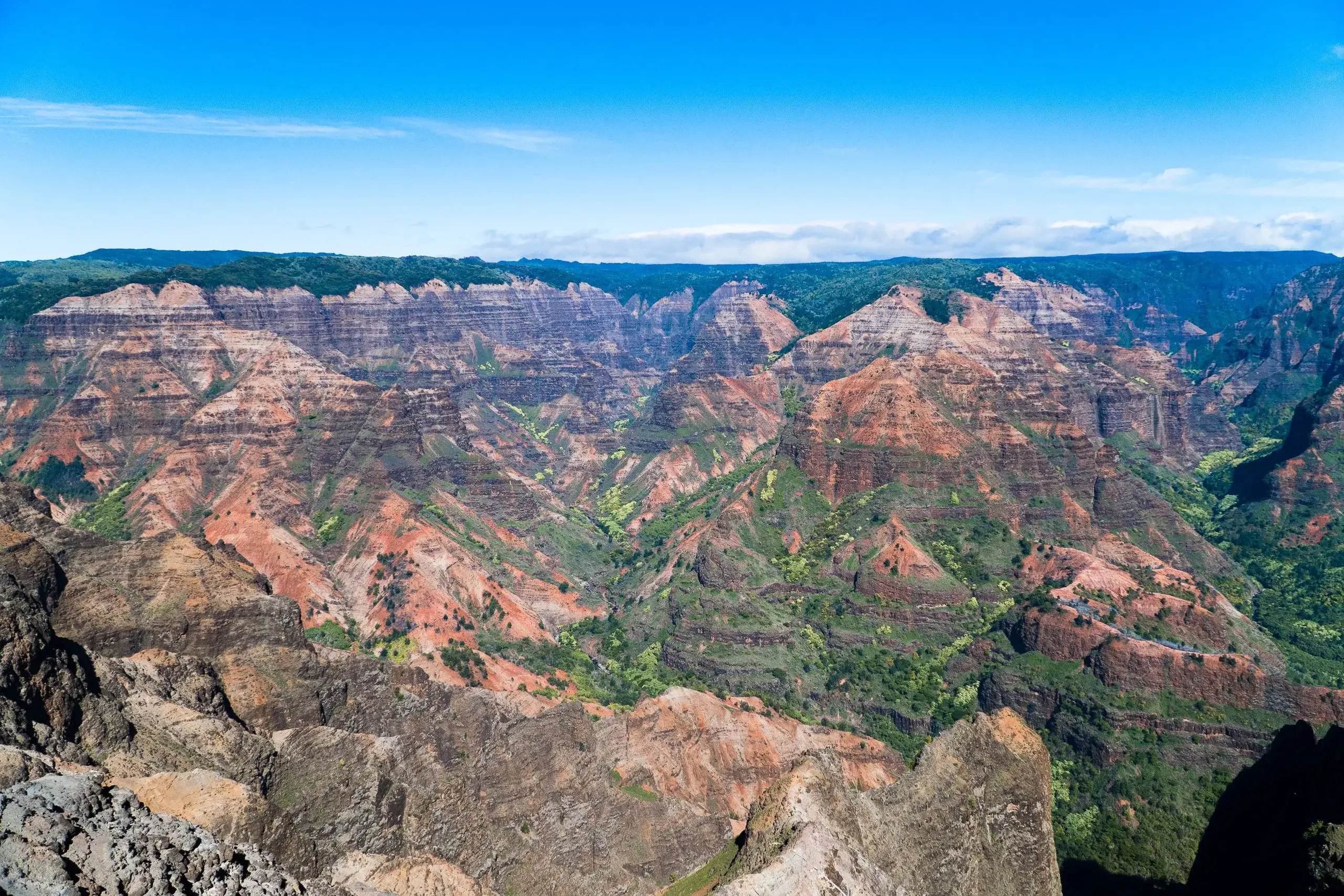 Waimea Canyon & Kokee State Park