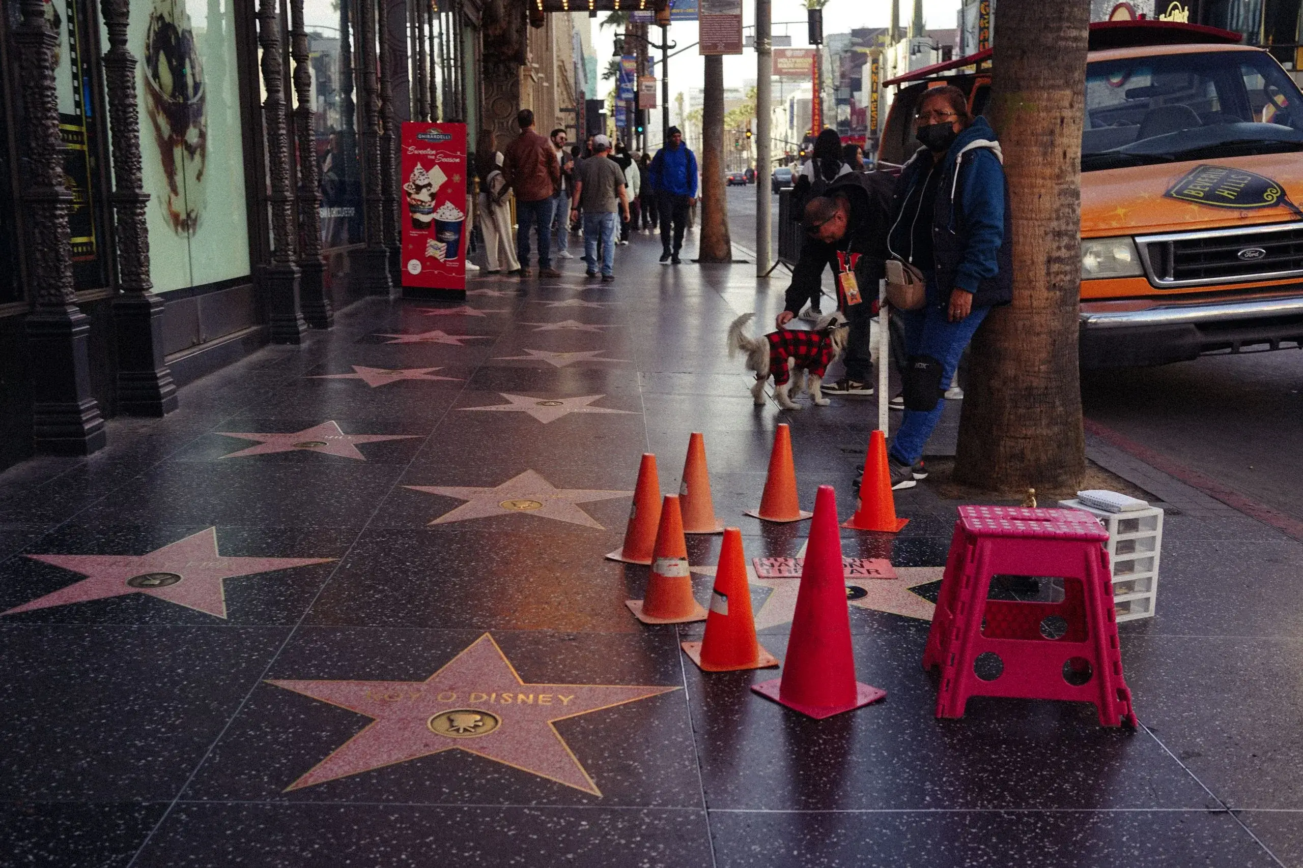 Hollywood & the Walk of Fame
