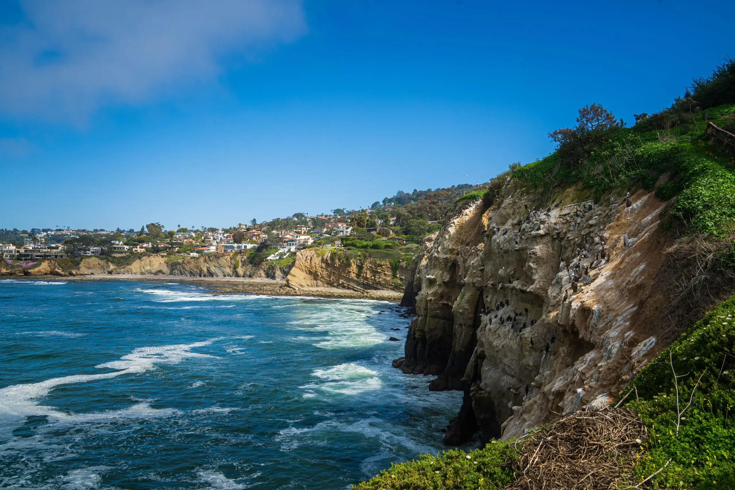 San Diego & the Coast