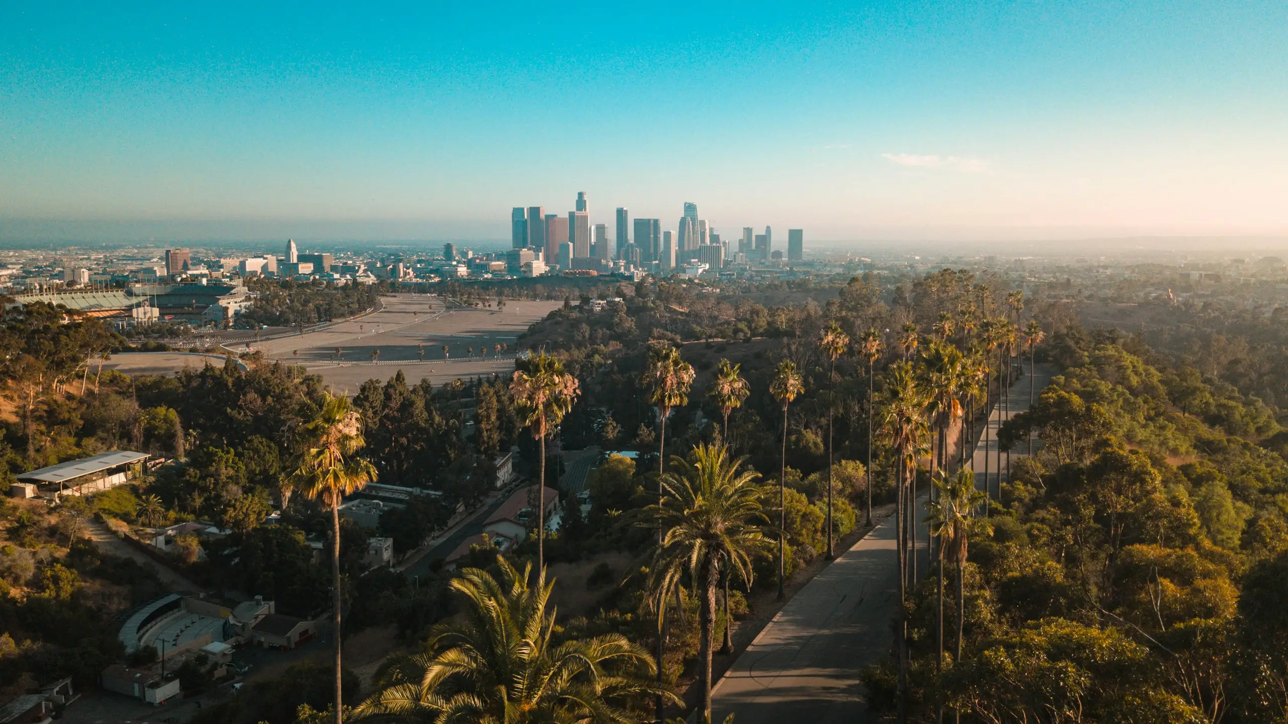 Palm-lined avenues below the downtown Los Angeles skyline at golden hour, California