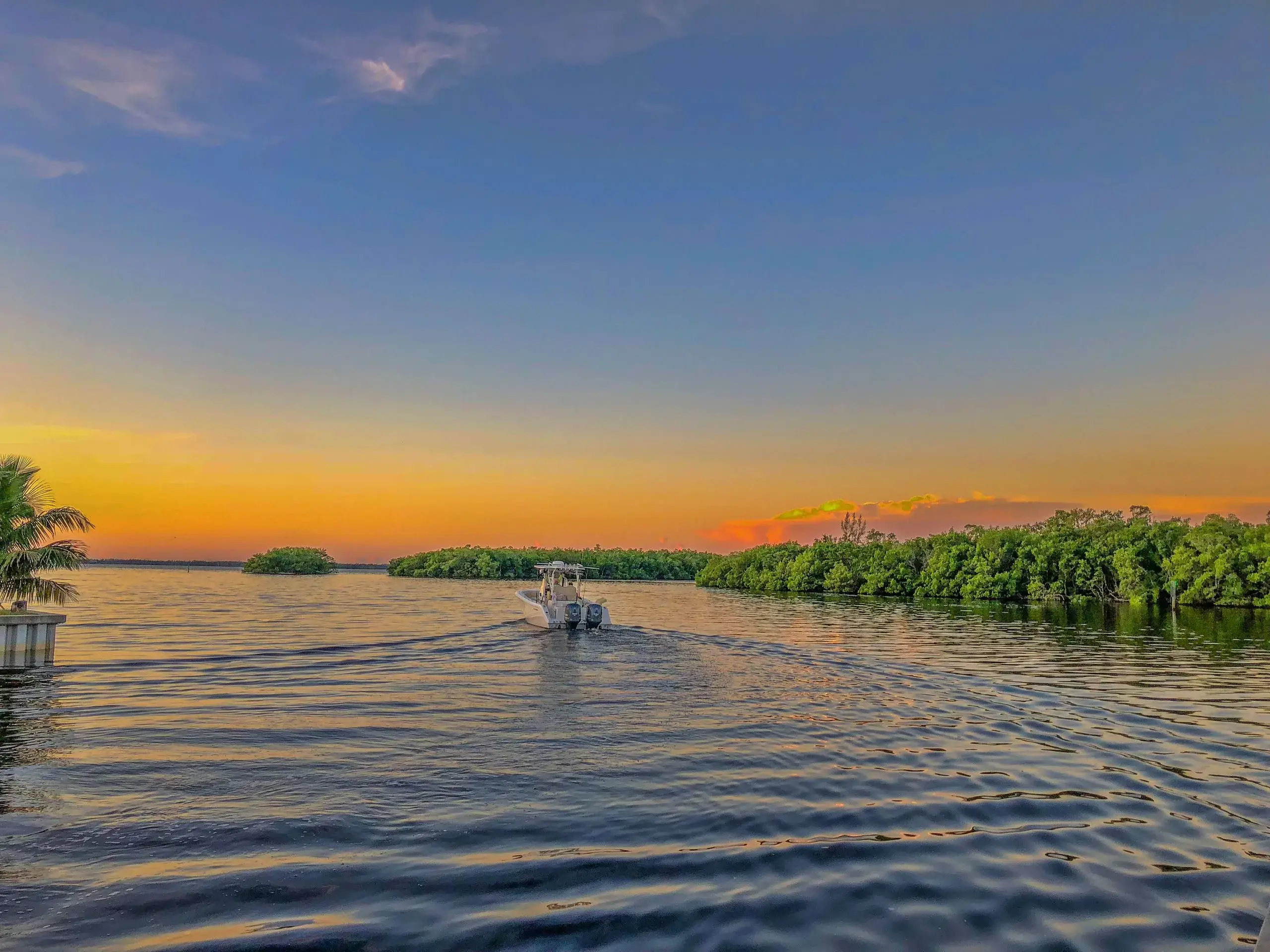 Ten Thousand Islands Boat Tour