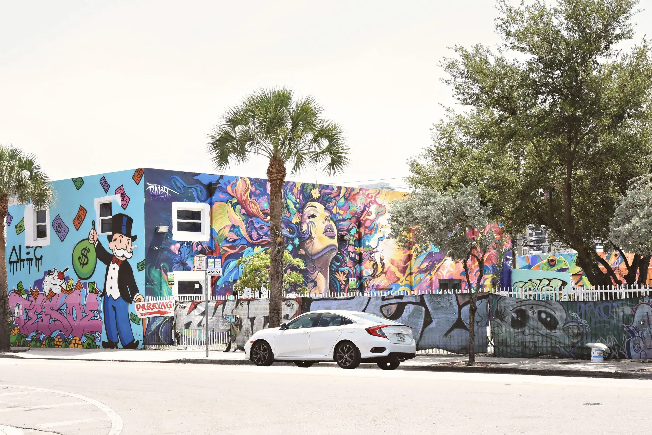 Wynwood Walls & Little Havana
