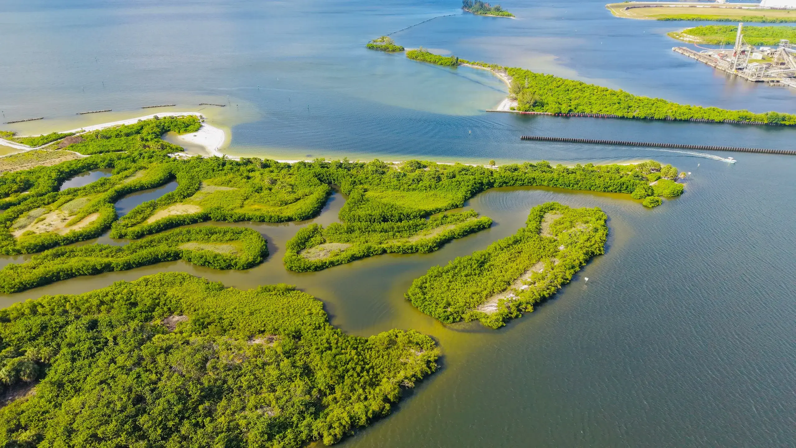 Marco Island & the Ten Thousand Islands