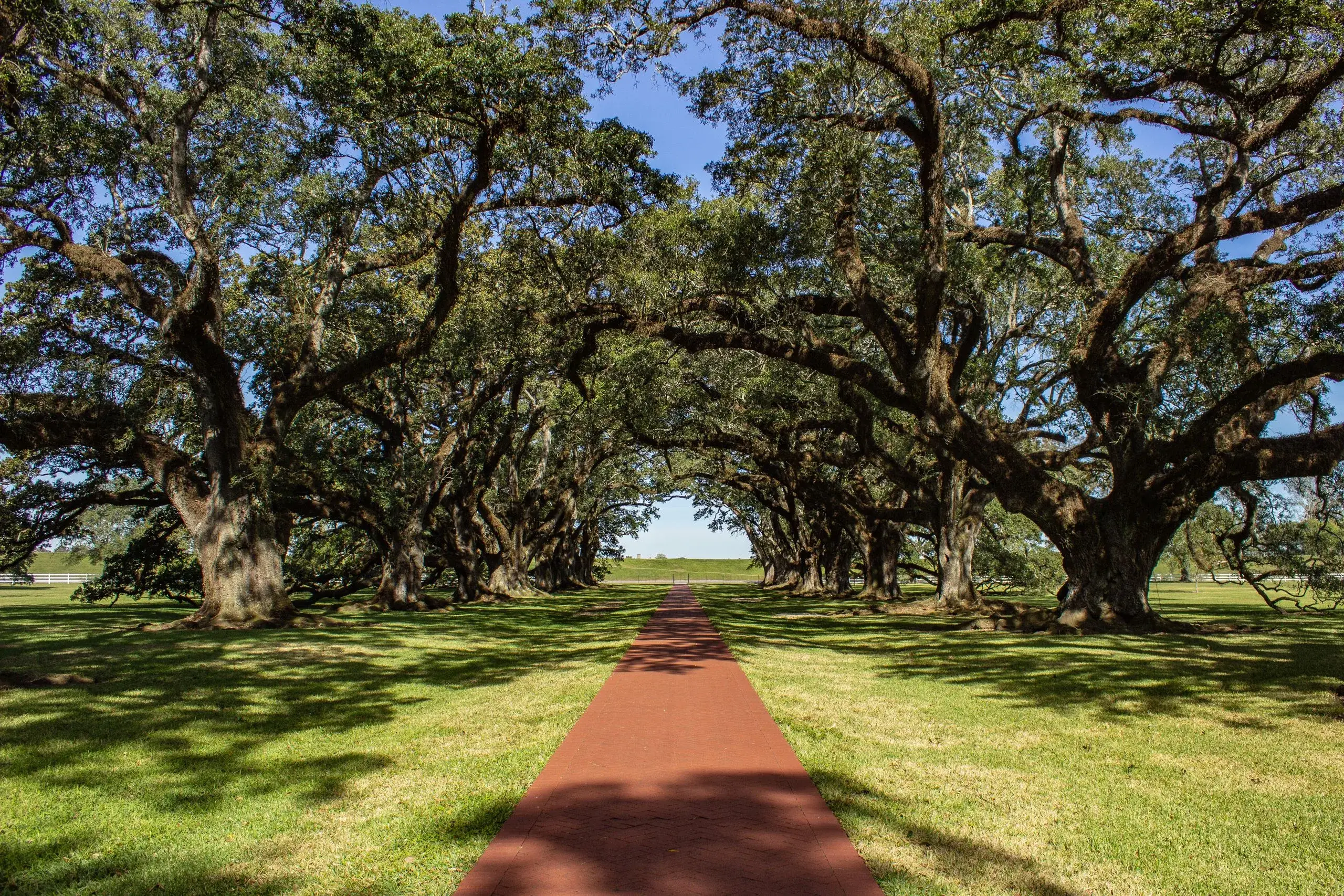 Oak Alley Plantation & River Road