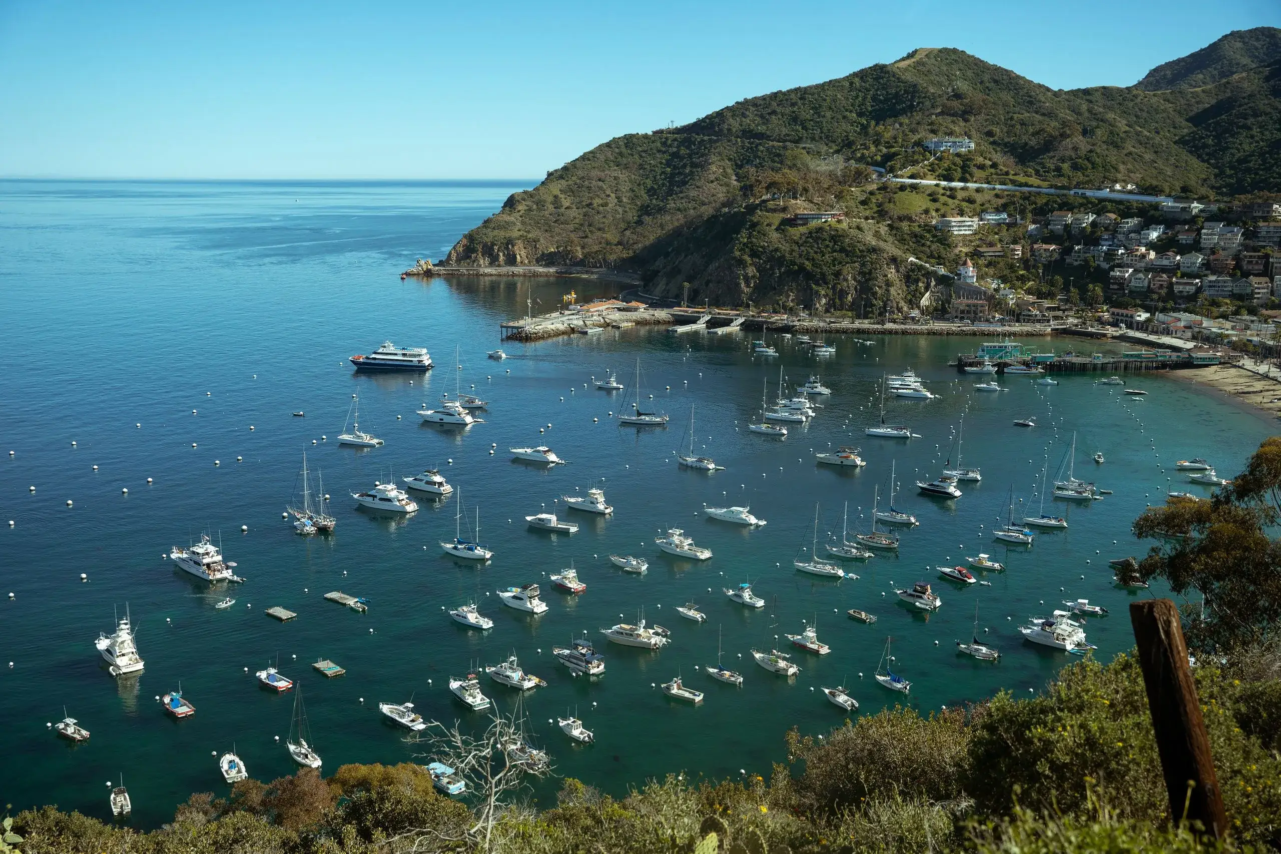 Catalina Island by Catamaran