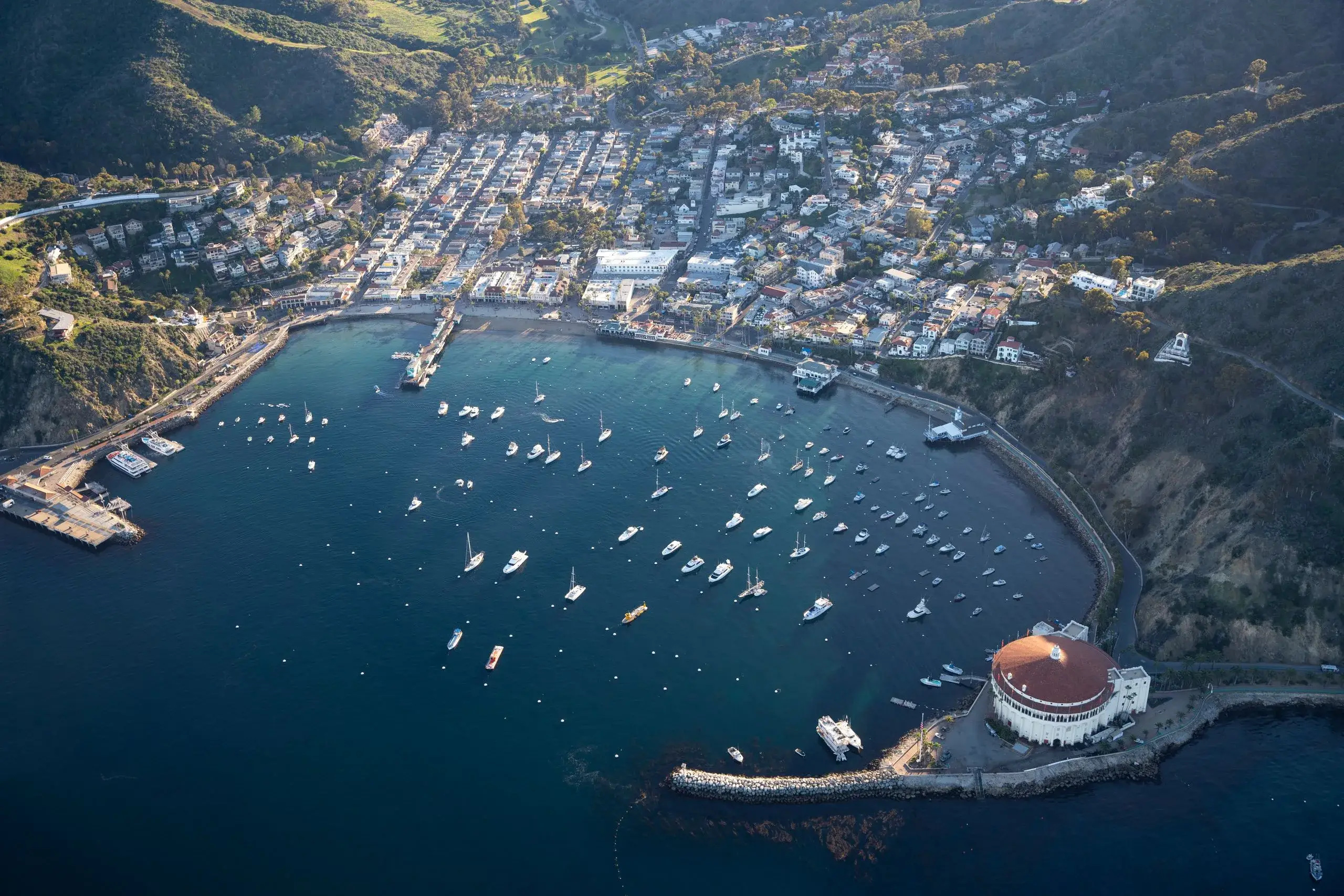 Catalina Island Day Trip