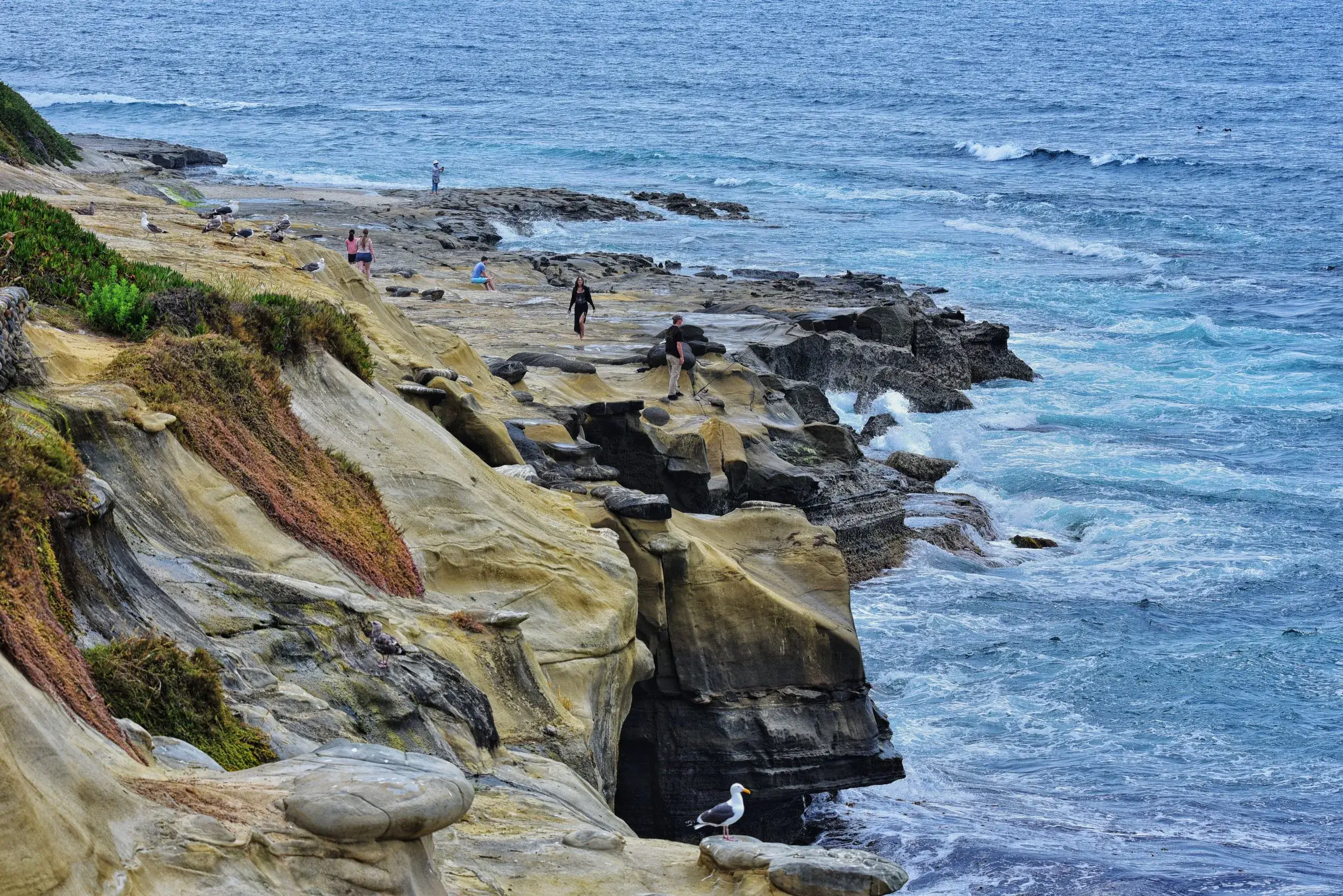 La Jolla & Torrey Pines