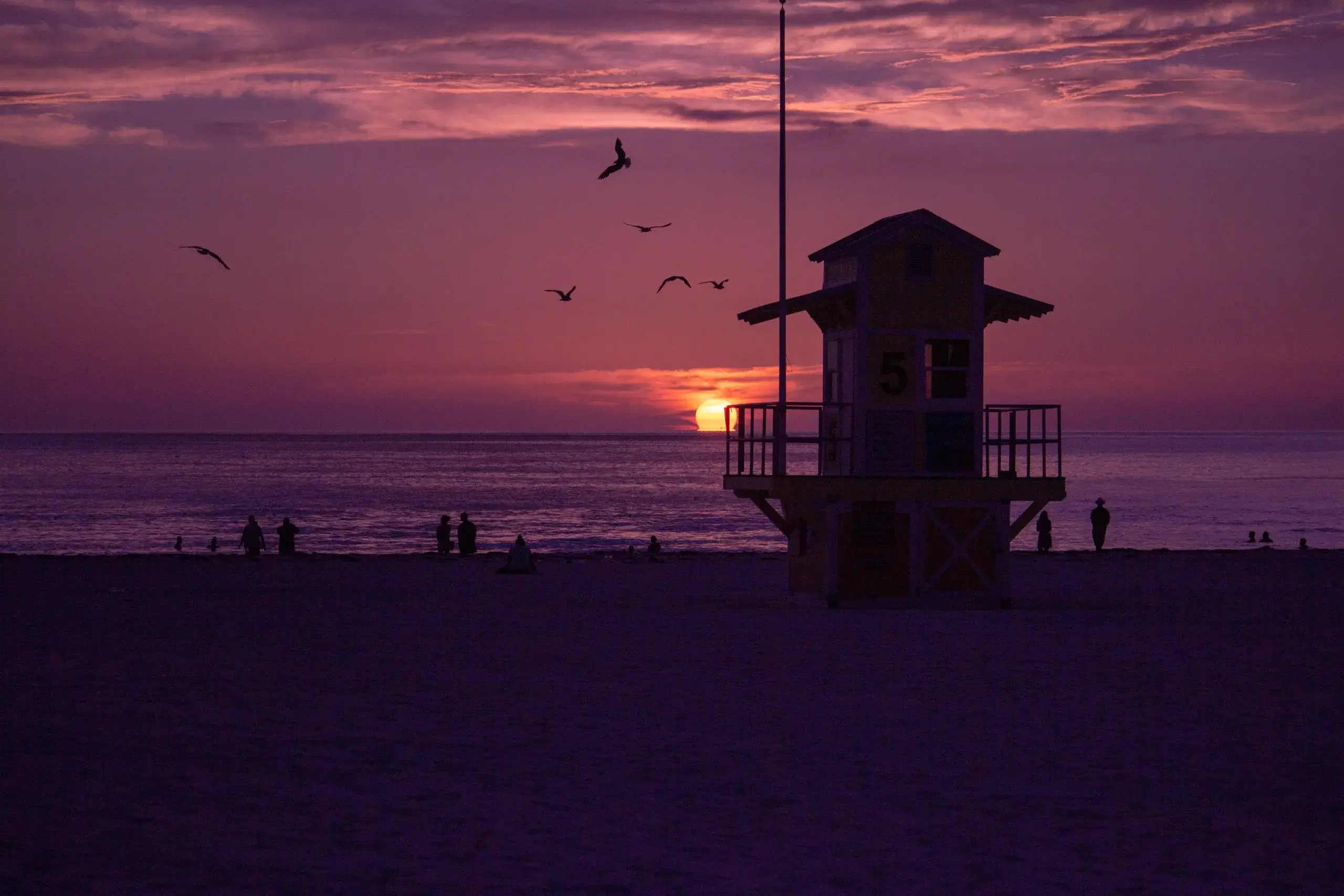 Clearwater Beach & the Gulf Coast