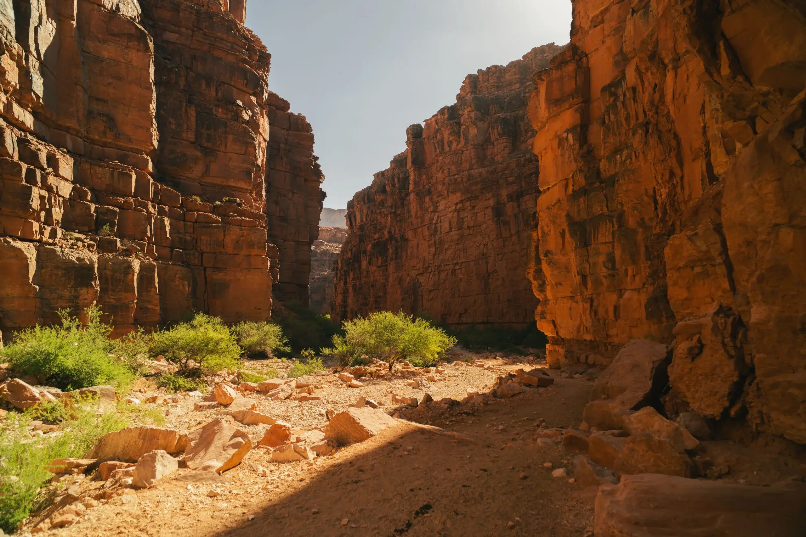 Indian Canyons Hiking
