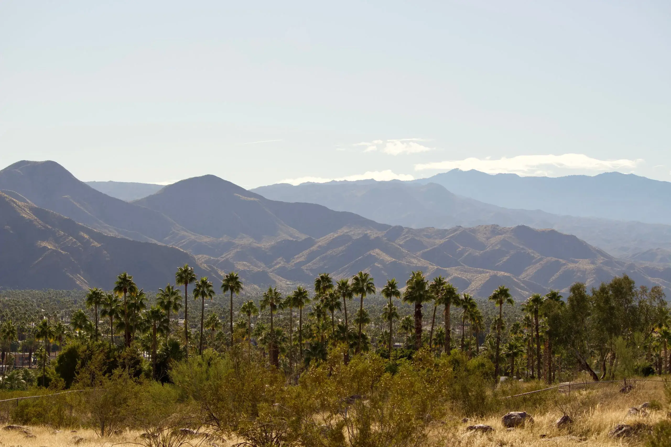 The Living Desert Zoo & Gardens
